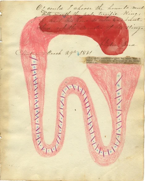 Webster_IN2526 sm copy.JPG