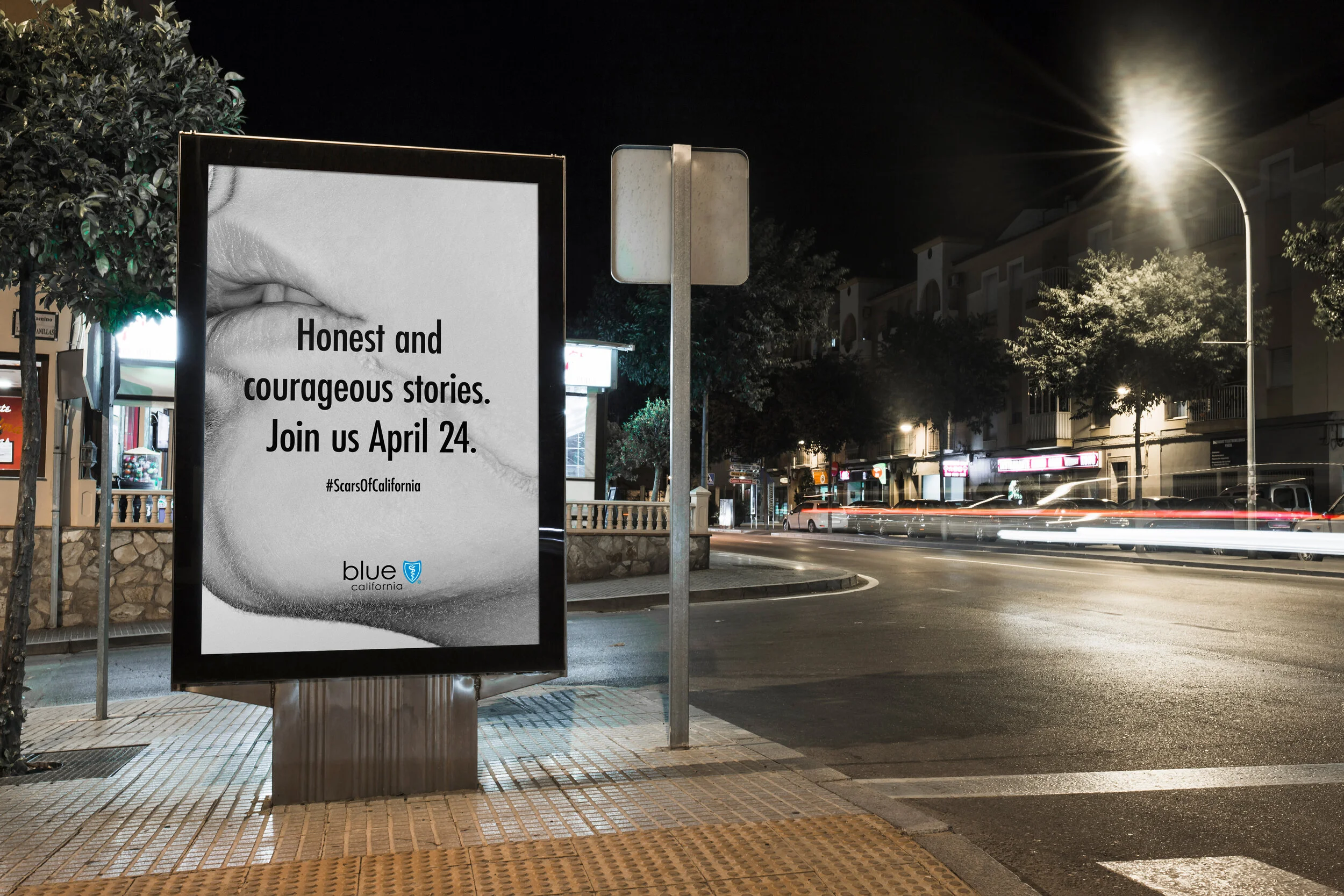 Scars-of-California-Billboard-2.jpg