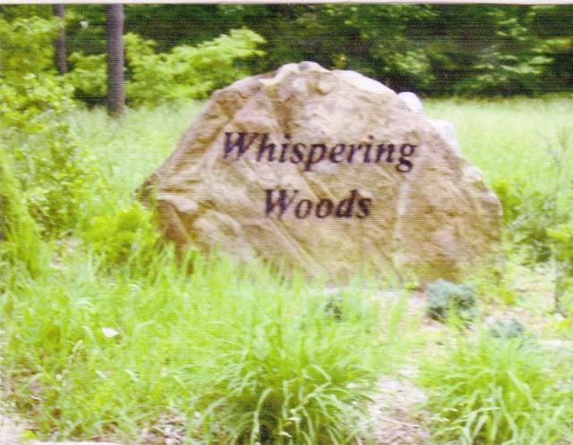 Whisper woods.jpg