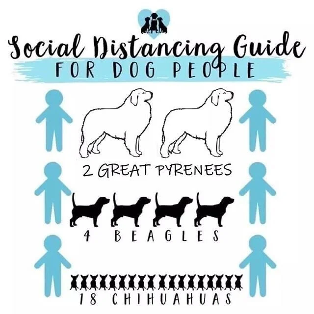 Finally social distancing explained in our language