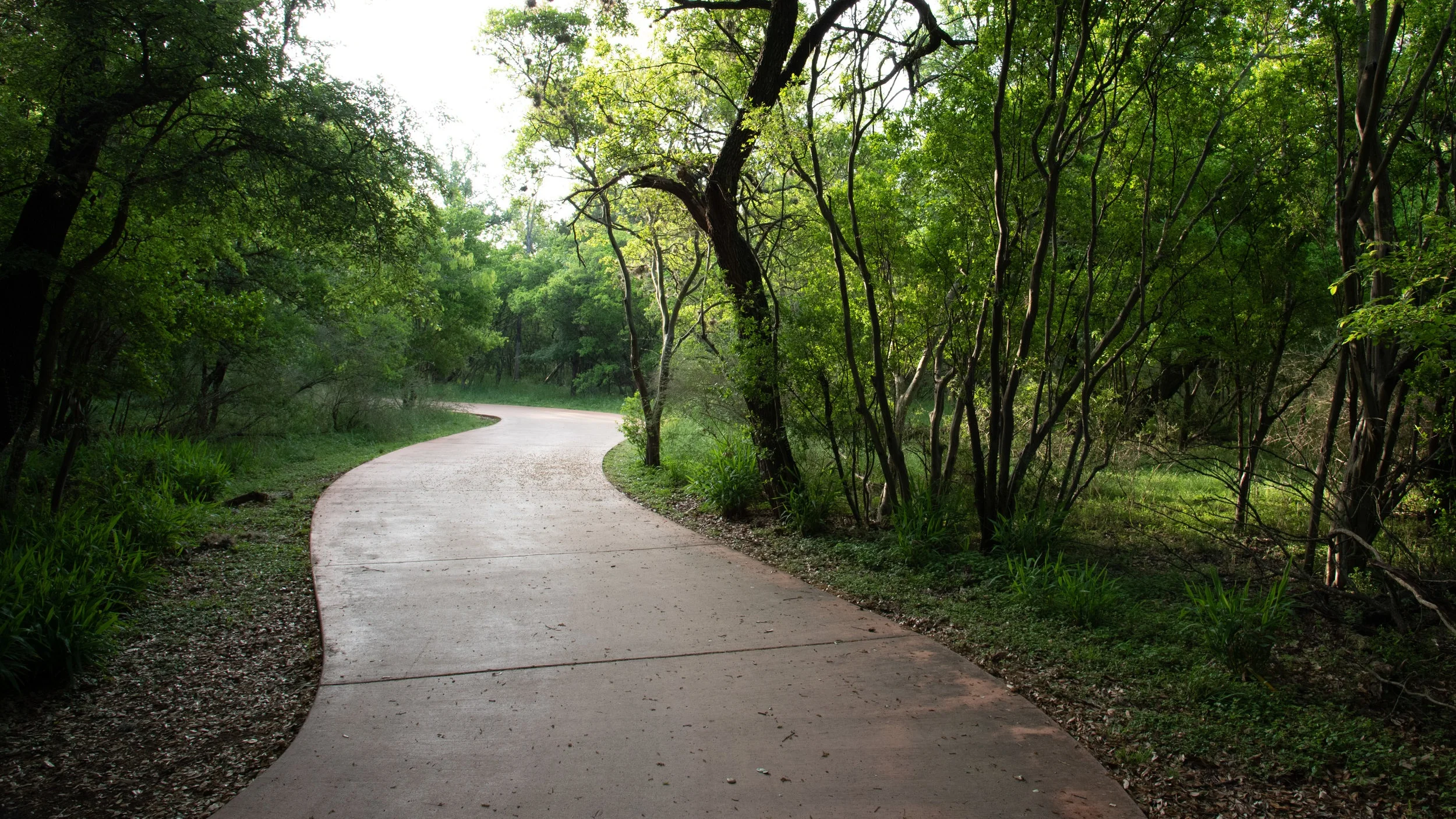 TrailsEast%2Cts-106.jpg