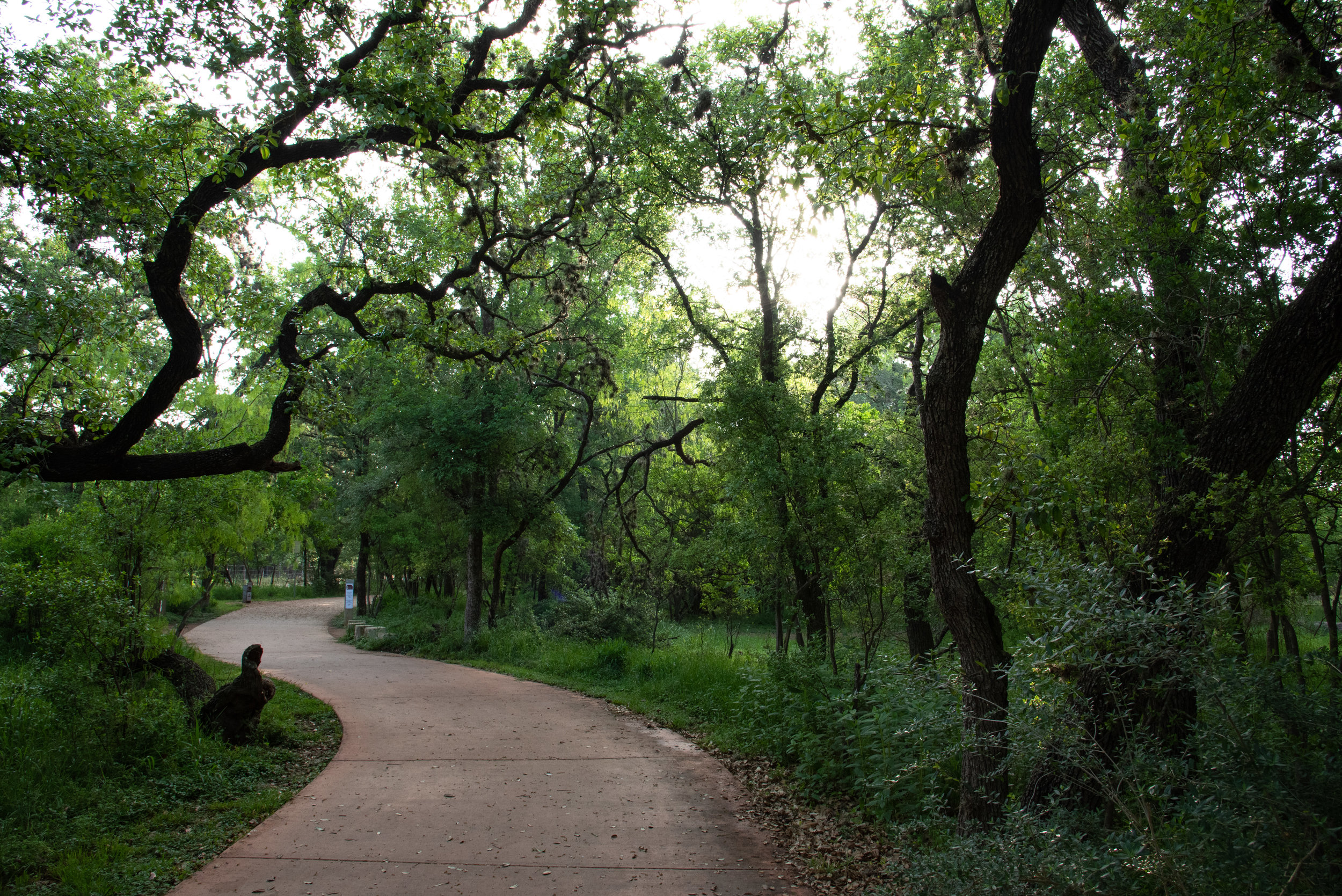 TrailsEast,ts-108.jpg