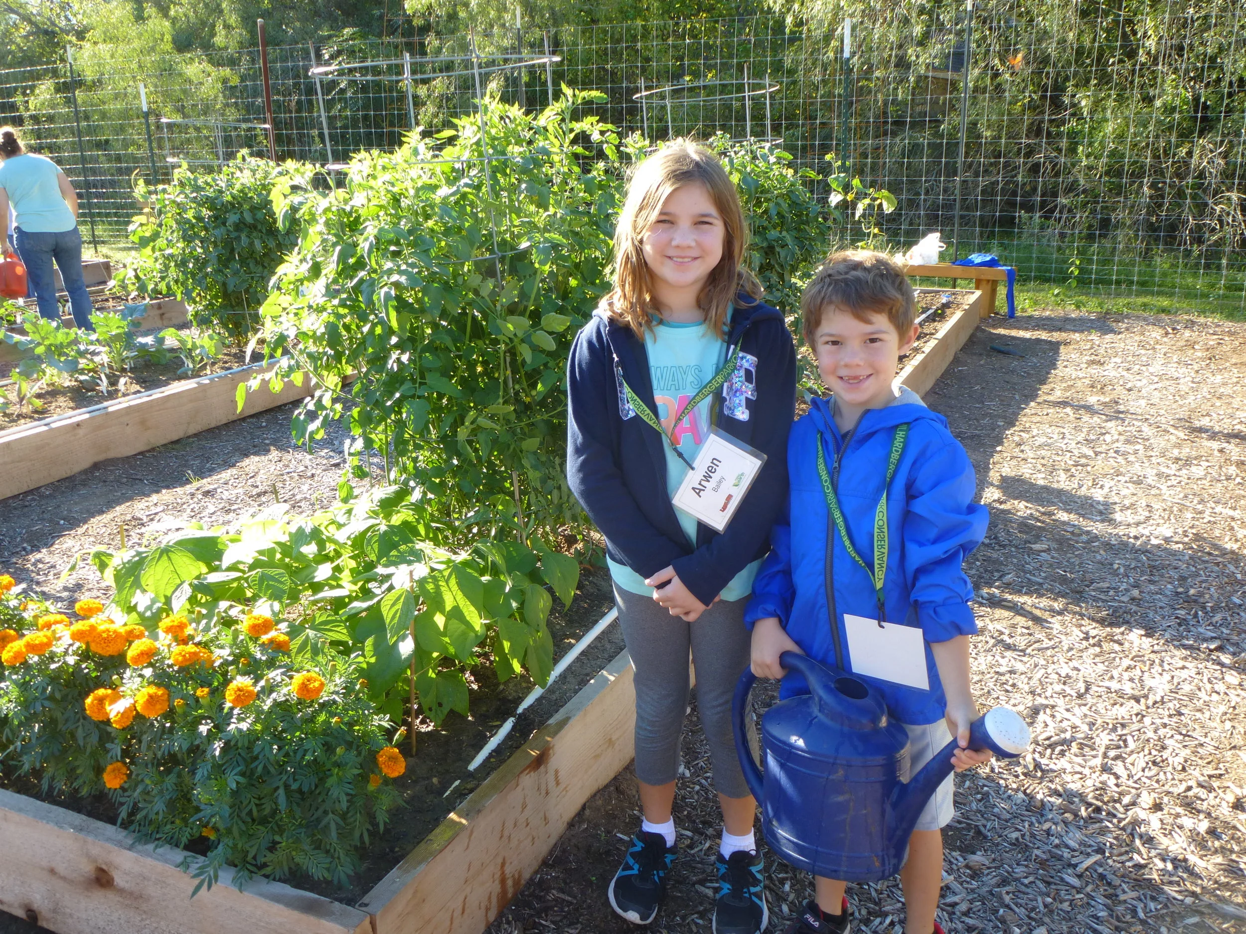 Children's Vegetable Garden Spring 2020