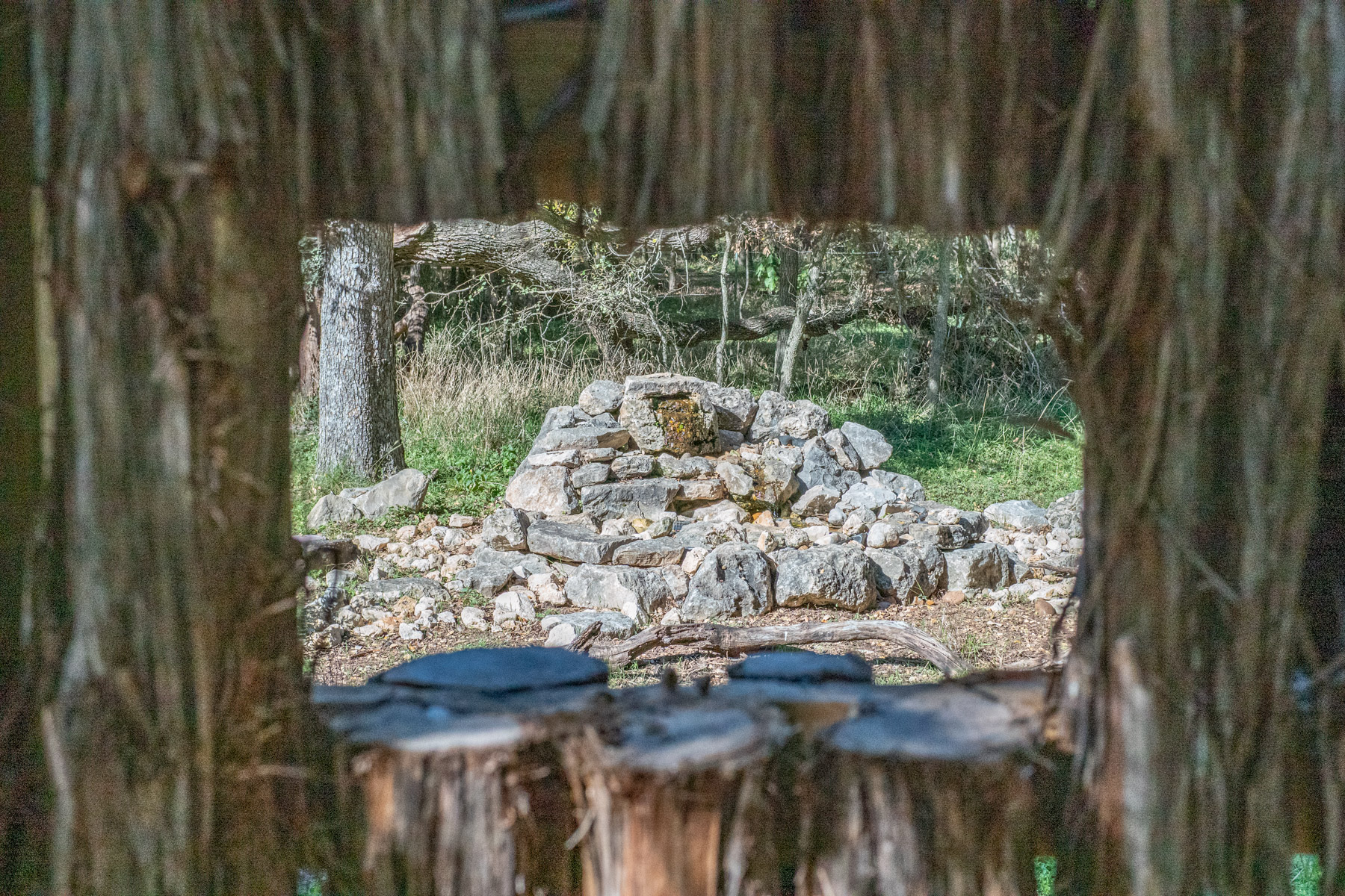 Bird Water Feature