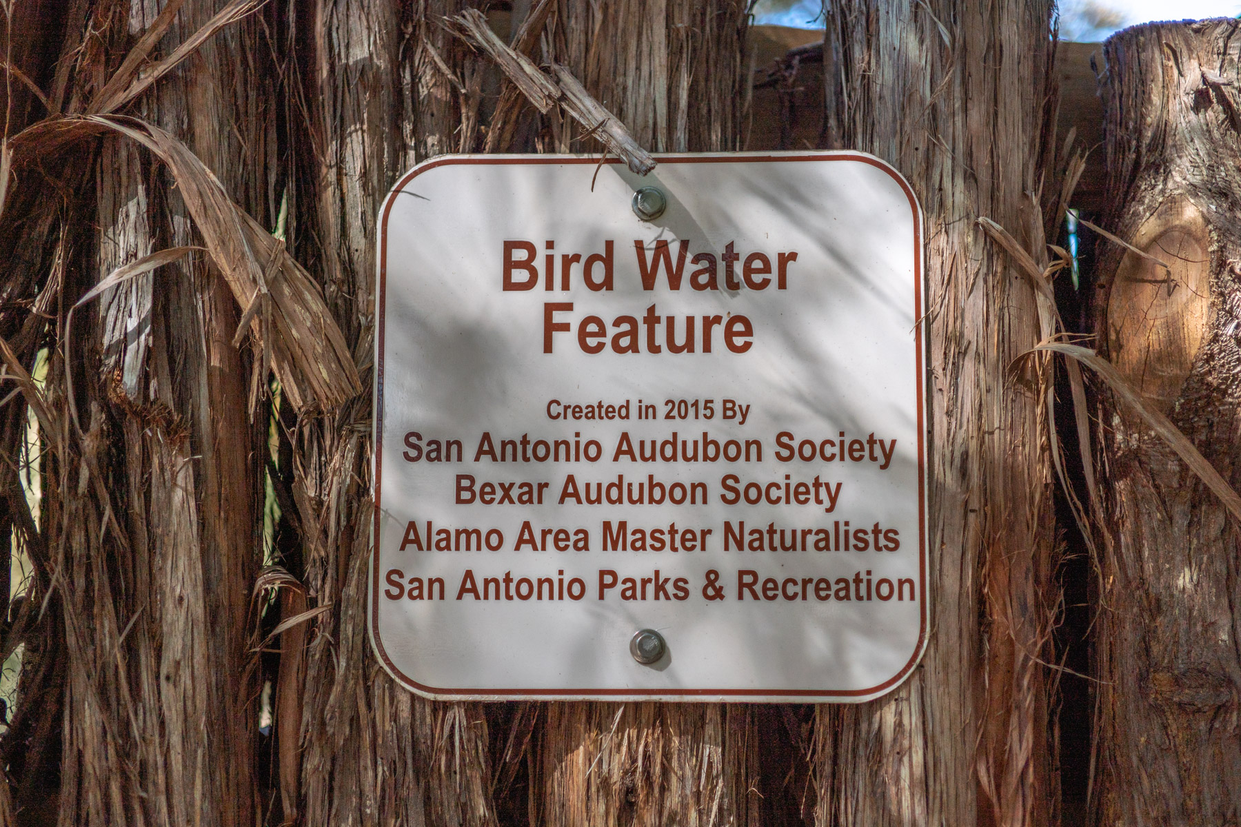 Bird Water Feature