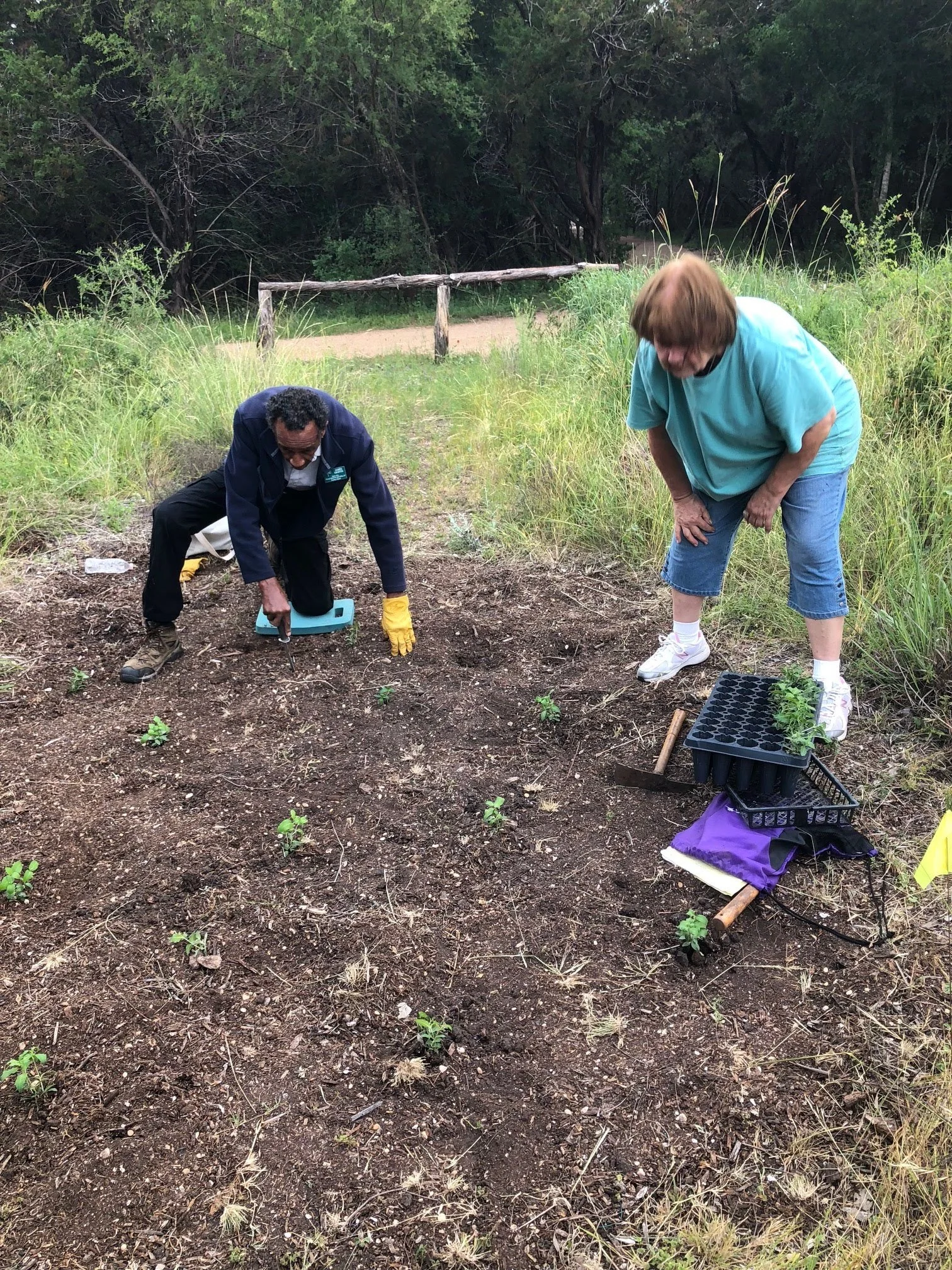 Weed Warrior Wednesdays: Invasive Species Removal