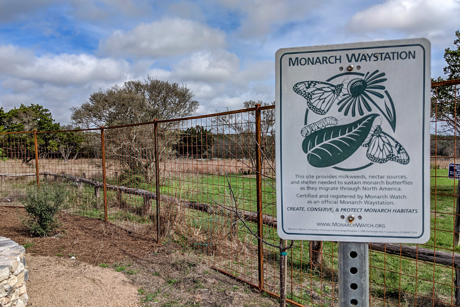  This garden is registered as an official Monarch Waystation and a certified Polinator Habitat through Texas Butterfly Ranch. 