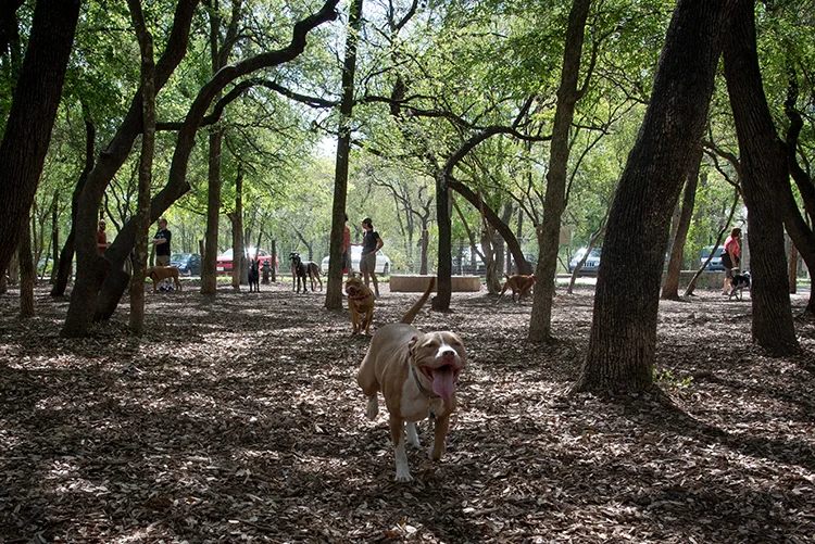Dog Park Ambassadors