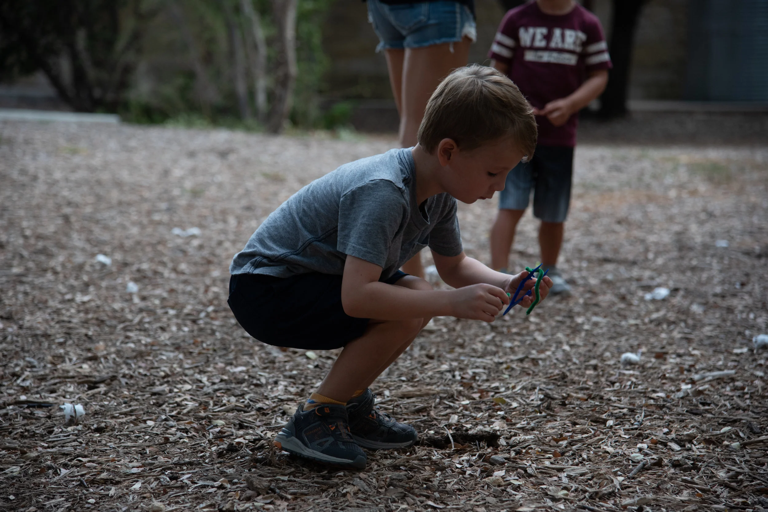 Full - Growing Up Wild: Looking At Leaves 