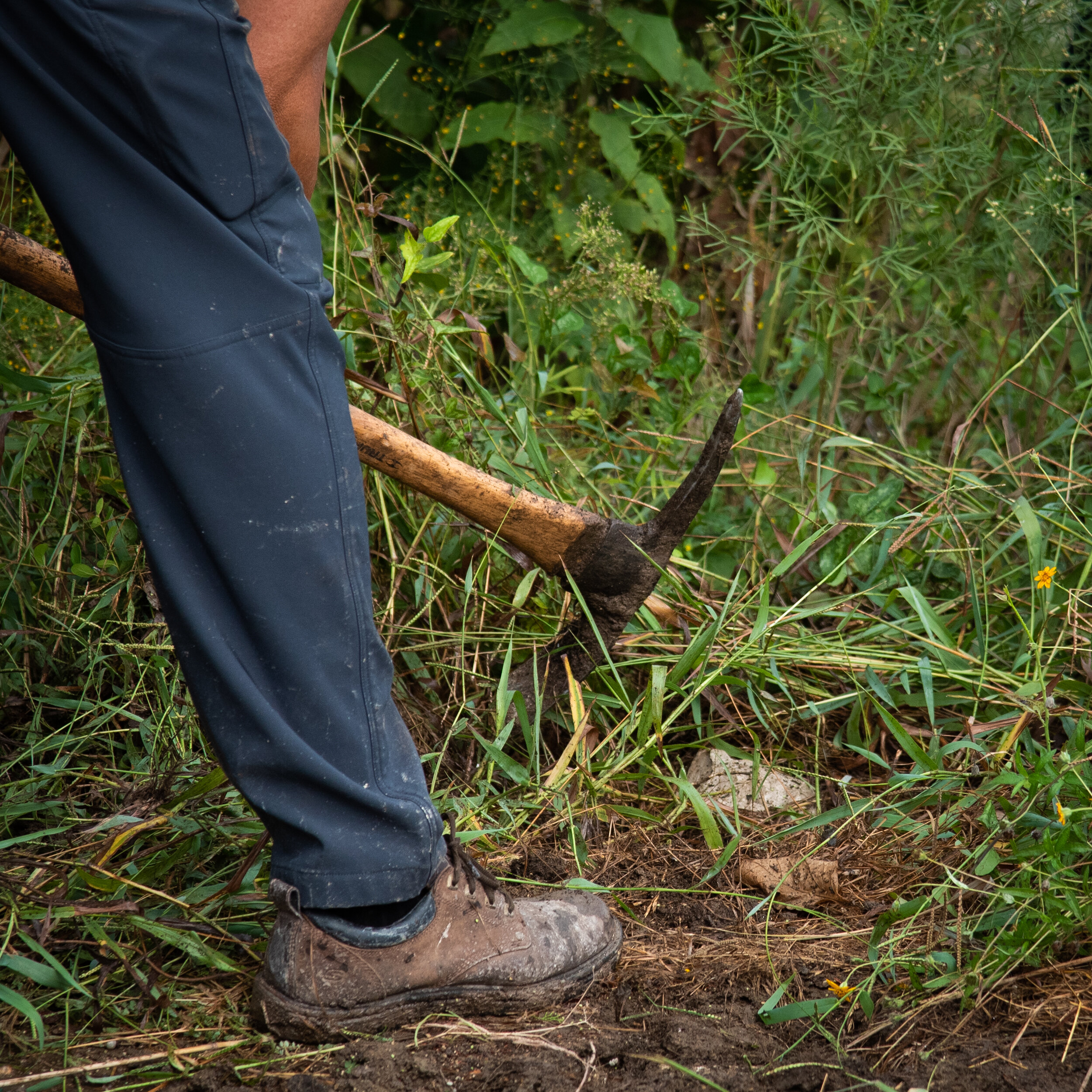 Weed Warrior Wednesdays