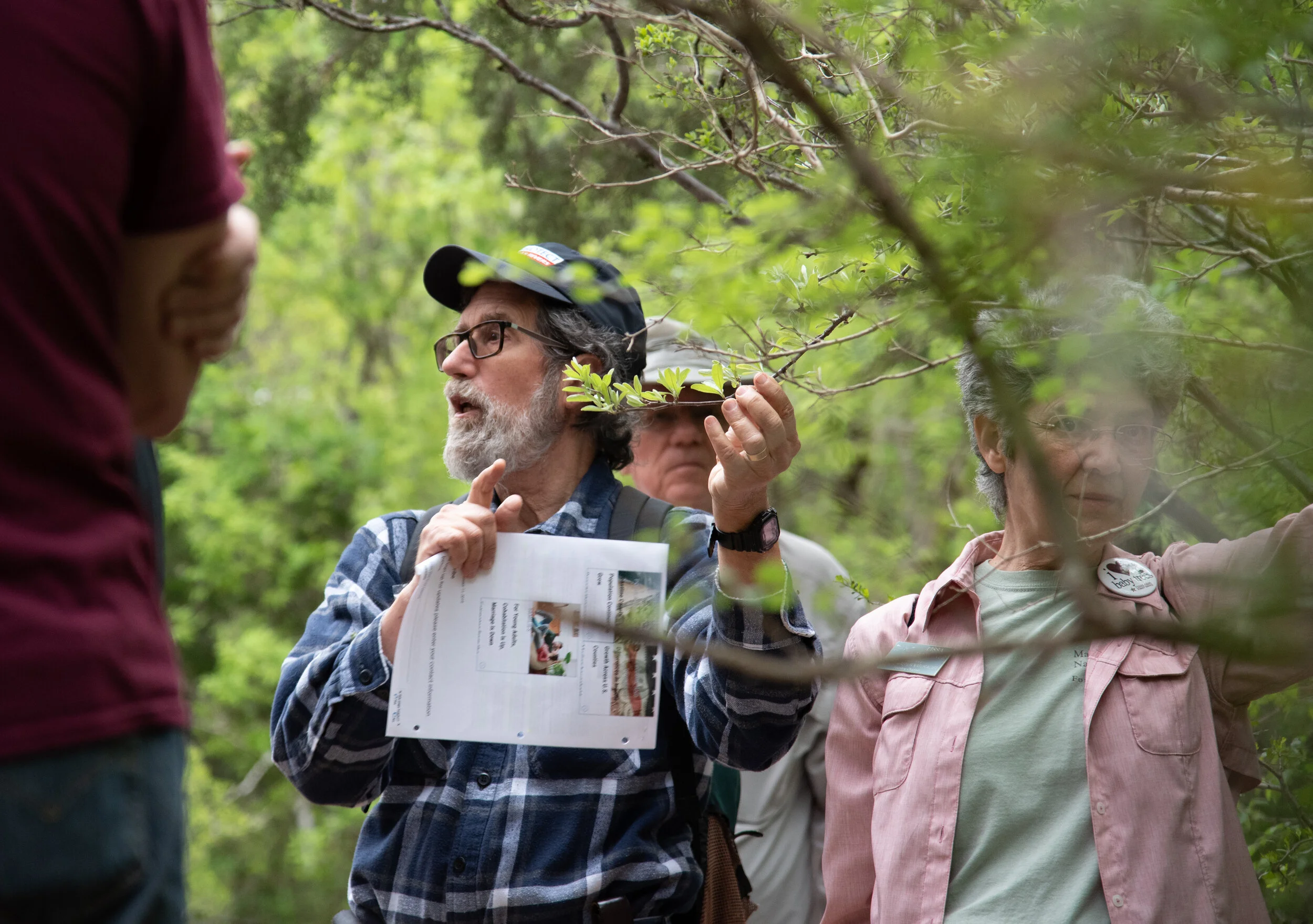 Canceled- Nature Walk: Trees of Phil Hardberger Park