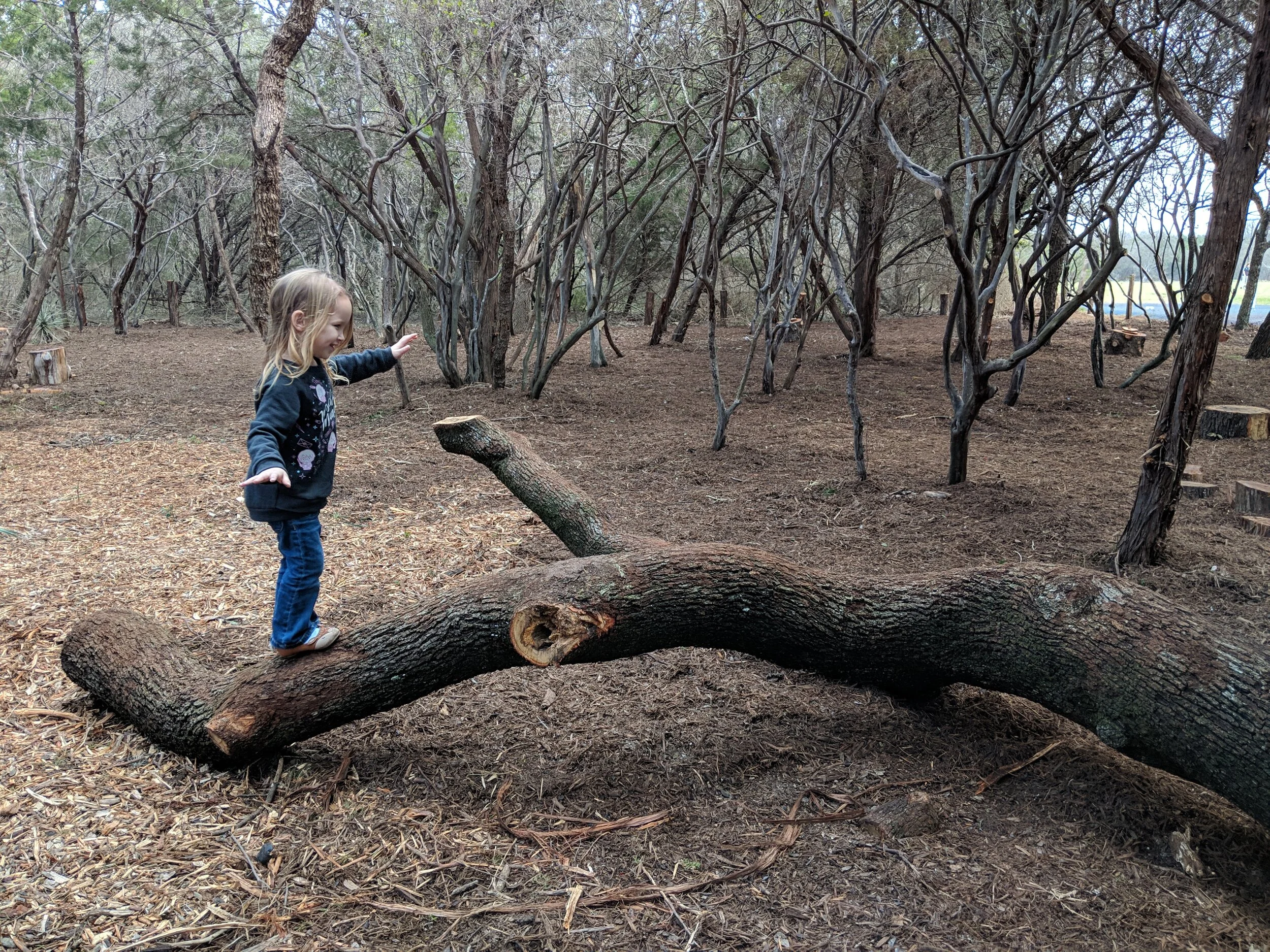 Canceled - Starting Out Wild: Nature Play Day