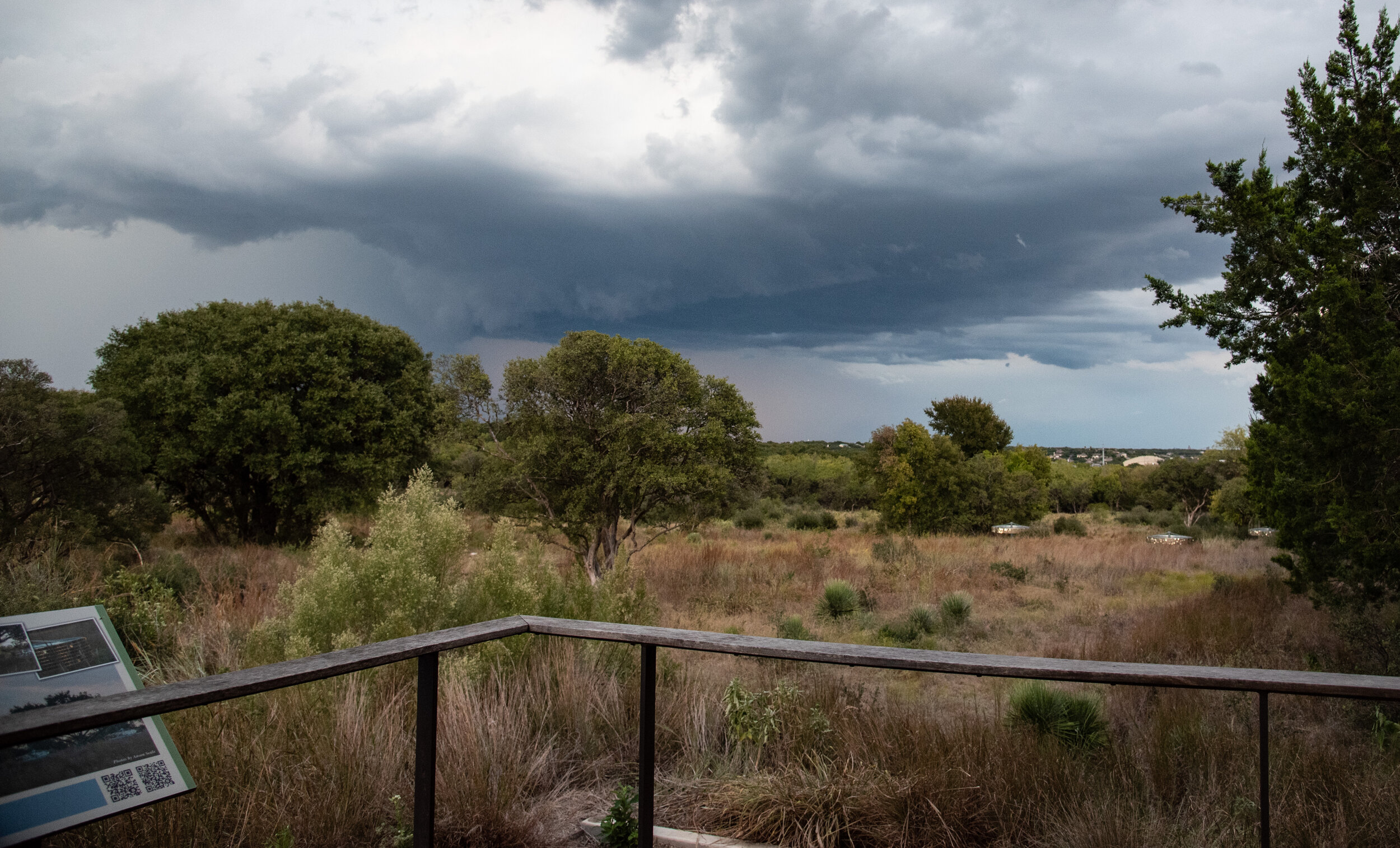 Online Growing Up Wild: Weather