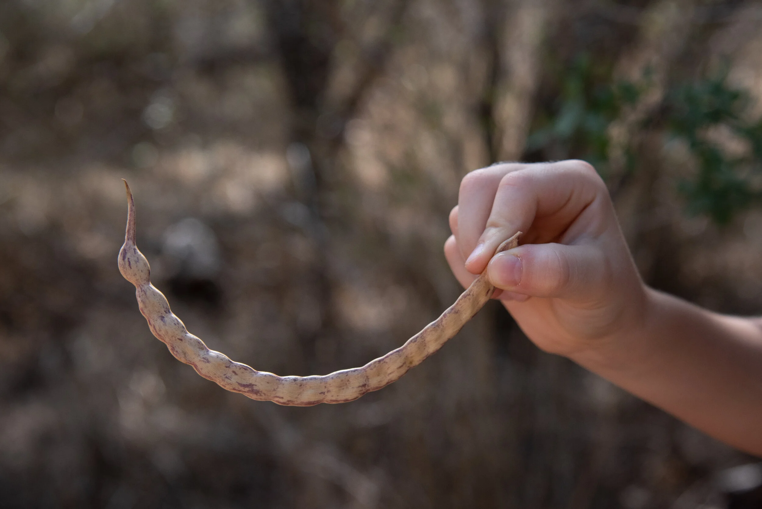 Nature Play