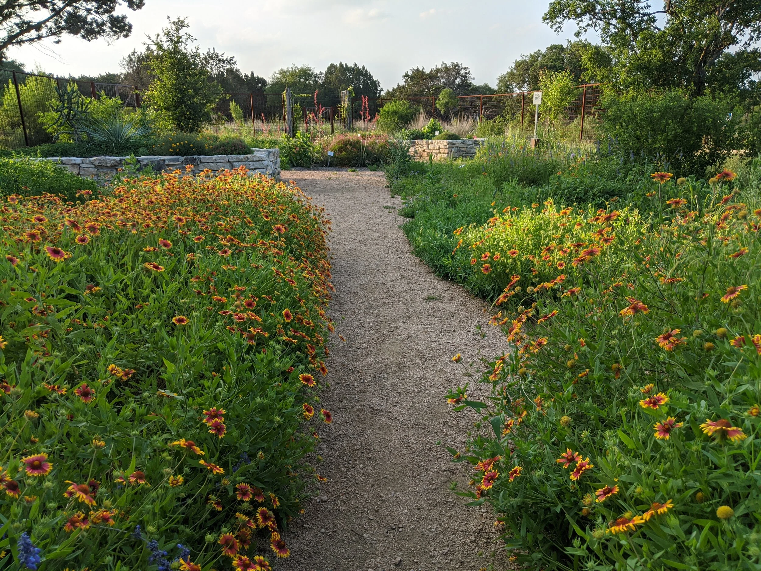 Virtual Wildscape Demonstration Garden Tour
