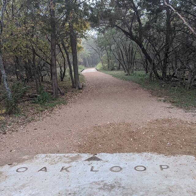 Today is National Trails day! 
We have four main trails in the park: the Oak Loop and Savannah trails on the NW Military Hwy side of the park, and the Water Loop and Geology trails on the Blanco Road side of the park. 
Let's give thanks to all of the
