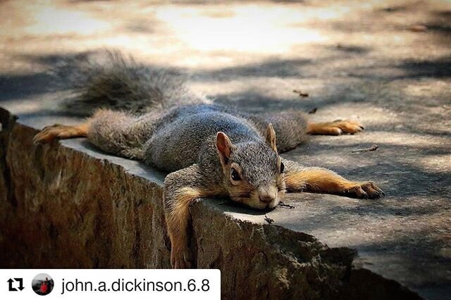 Another wonderful capture by John Dickinson! As the weather continues to get hotter, remember to carry water with you and stay in the shade! Especially during the hottest parts of the day between 2 to 6 p.m.
Stay cool out there! 😎☀️ 📸#Repost @john.