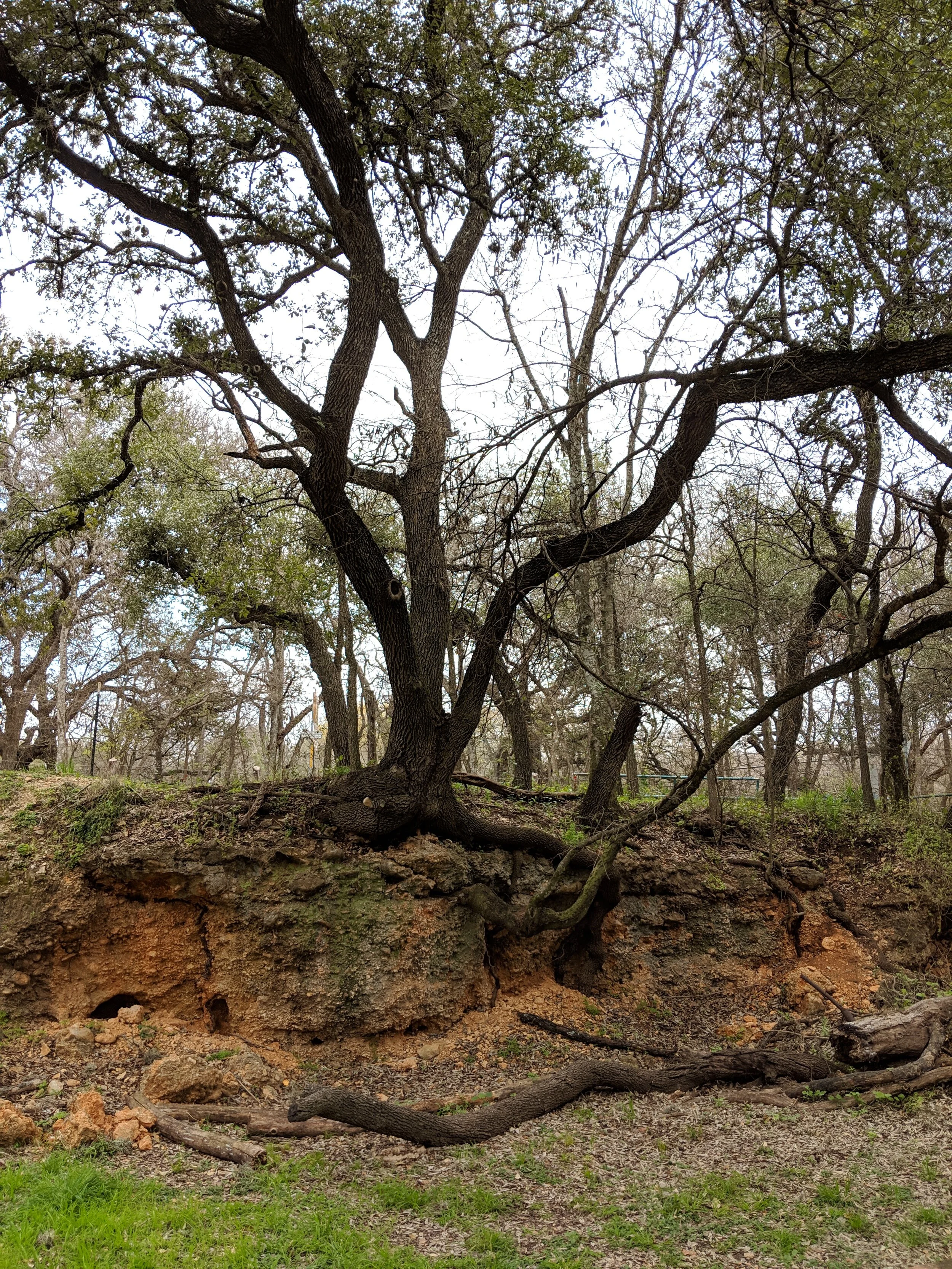 PHP Geology Trail.jpg