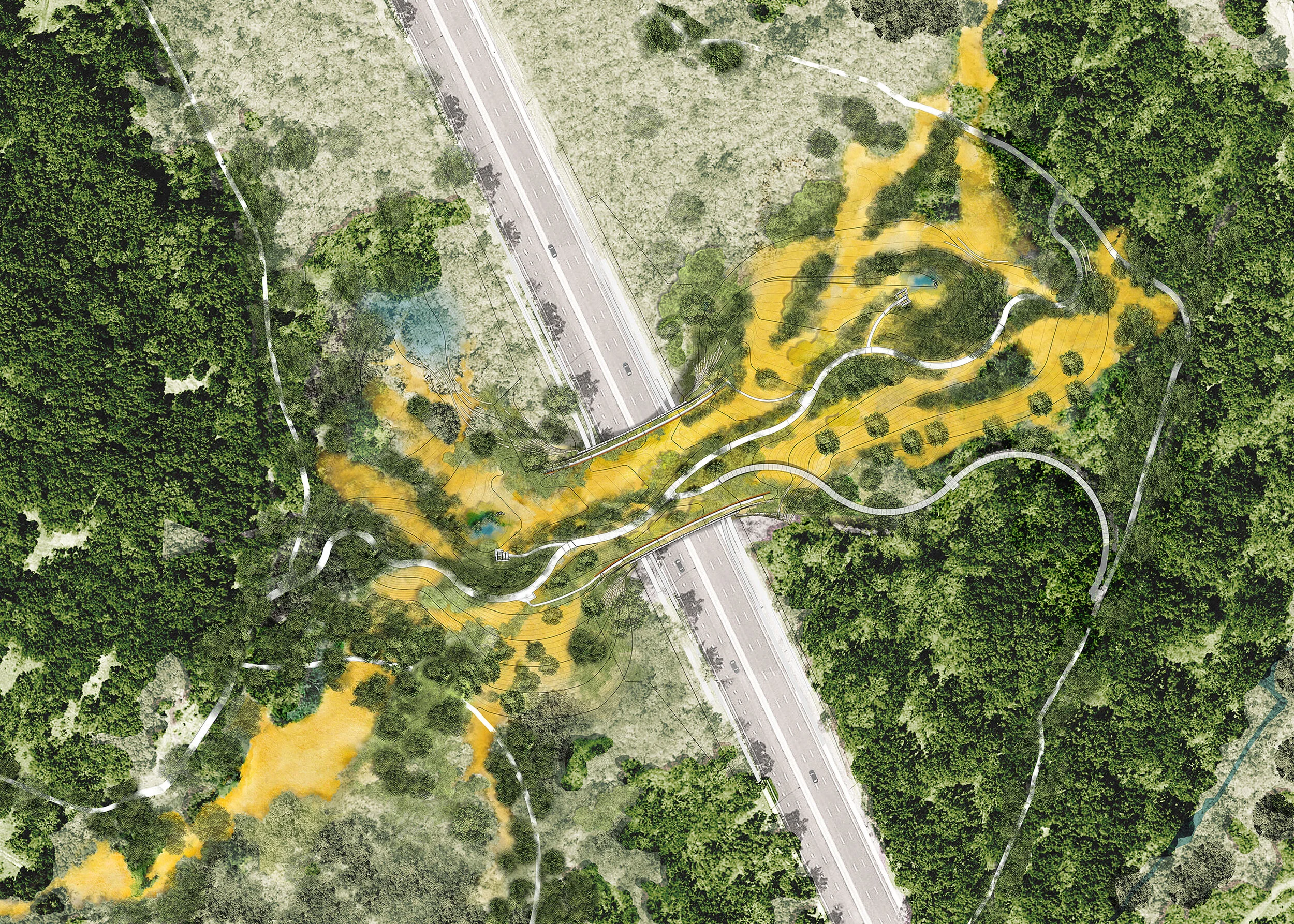 Land Bridge Details: Know Before You Go! 