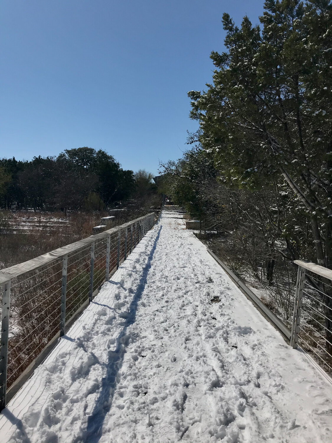 Urban Ecology Center boardwalk in snow