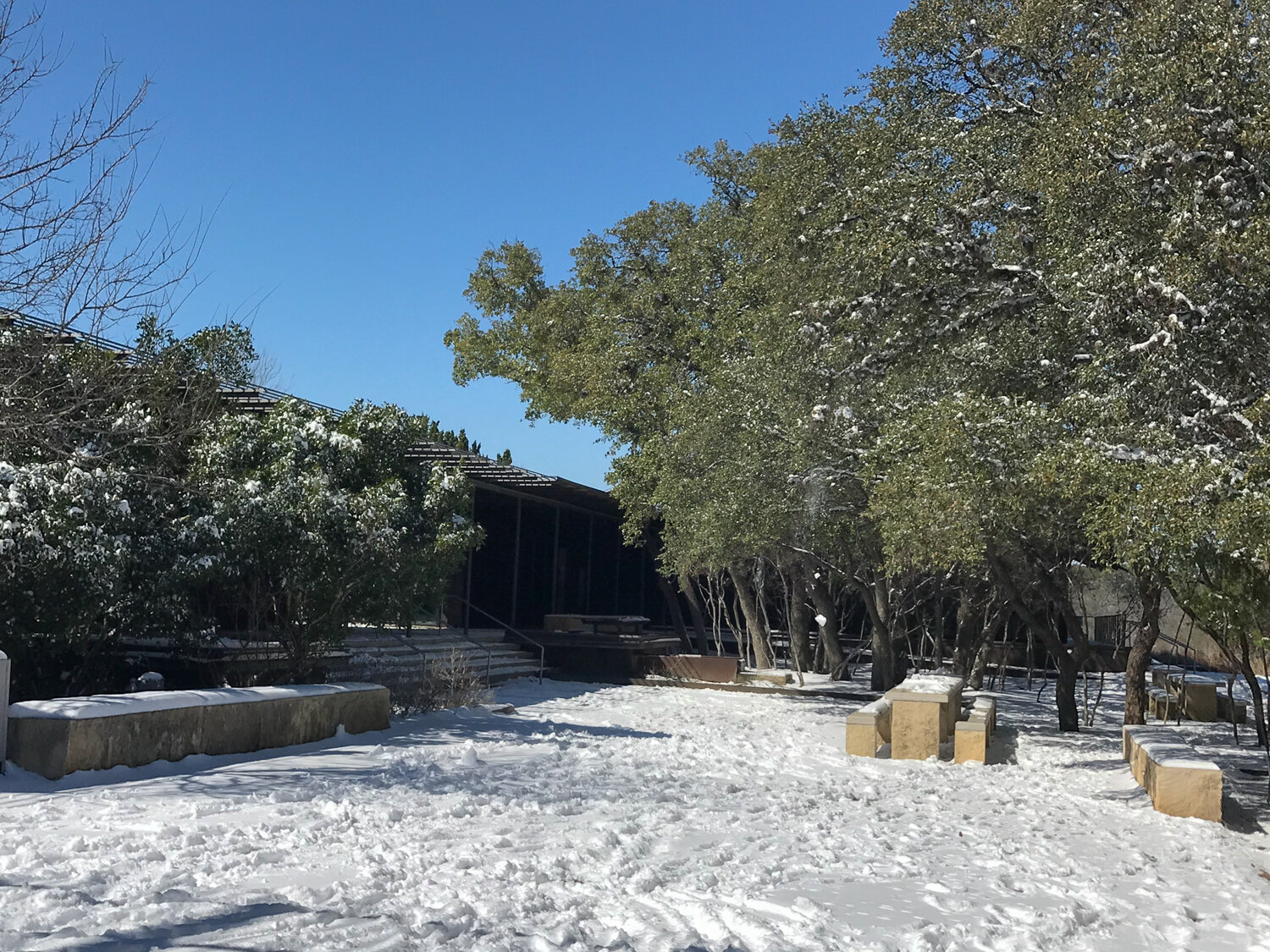 Urban Ecology Center in snow
