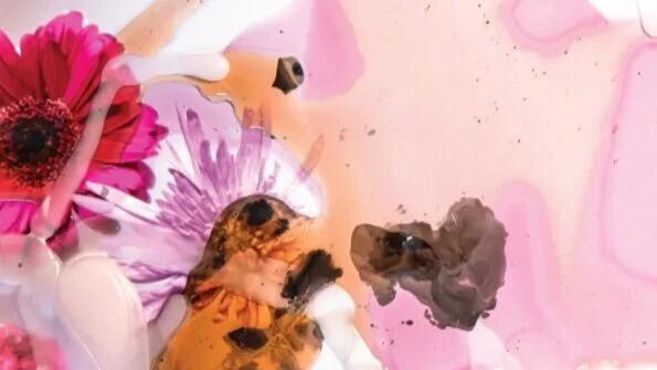 Pop-Up Art Exhibit Coming to Hardberger Park