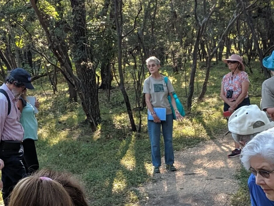 Virtual Nature Walk: Poetry in Nature