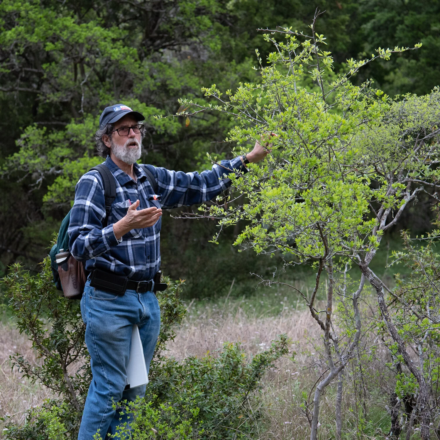 Volunteer Opportunity: Become a Master Naturalist