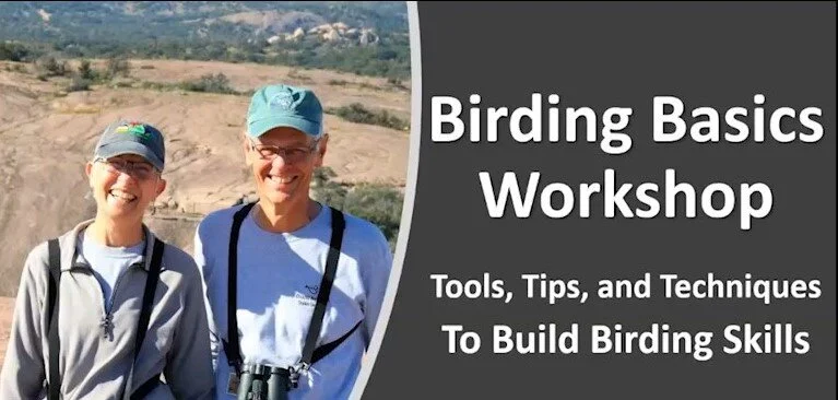 Virtual Nature Talk: Introduction to Birding