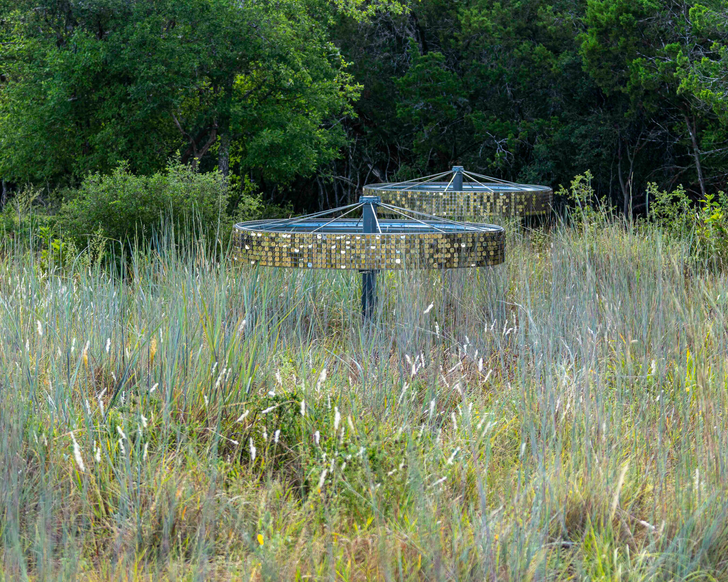  The wheels are reclaimed agriculture irrigation wheels.  