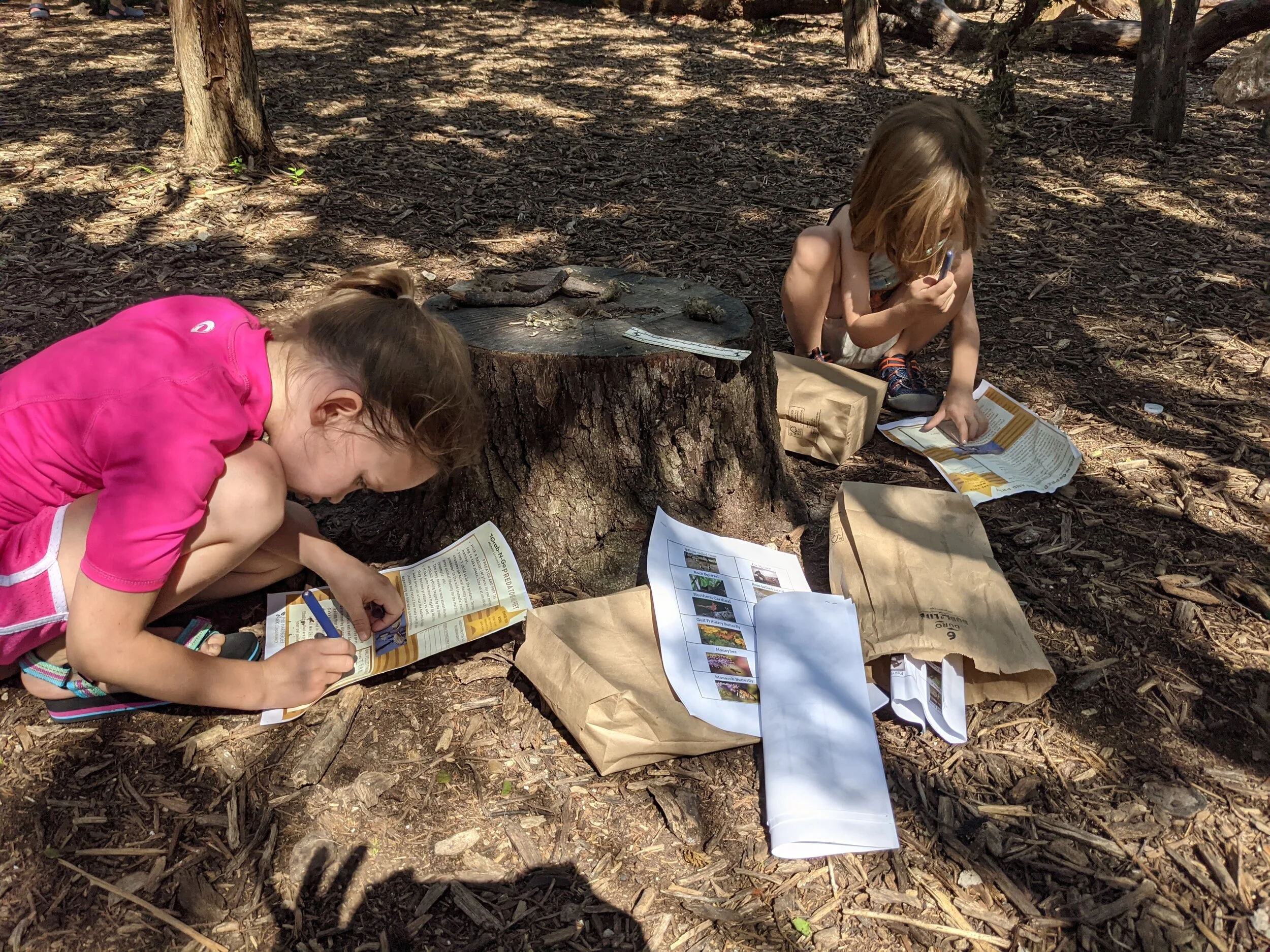 Grab-N-Go Nature Lessons: Flap, Flutter, &amp; Fly