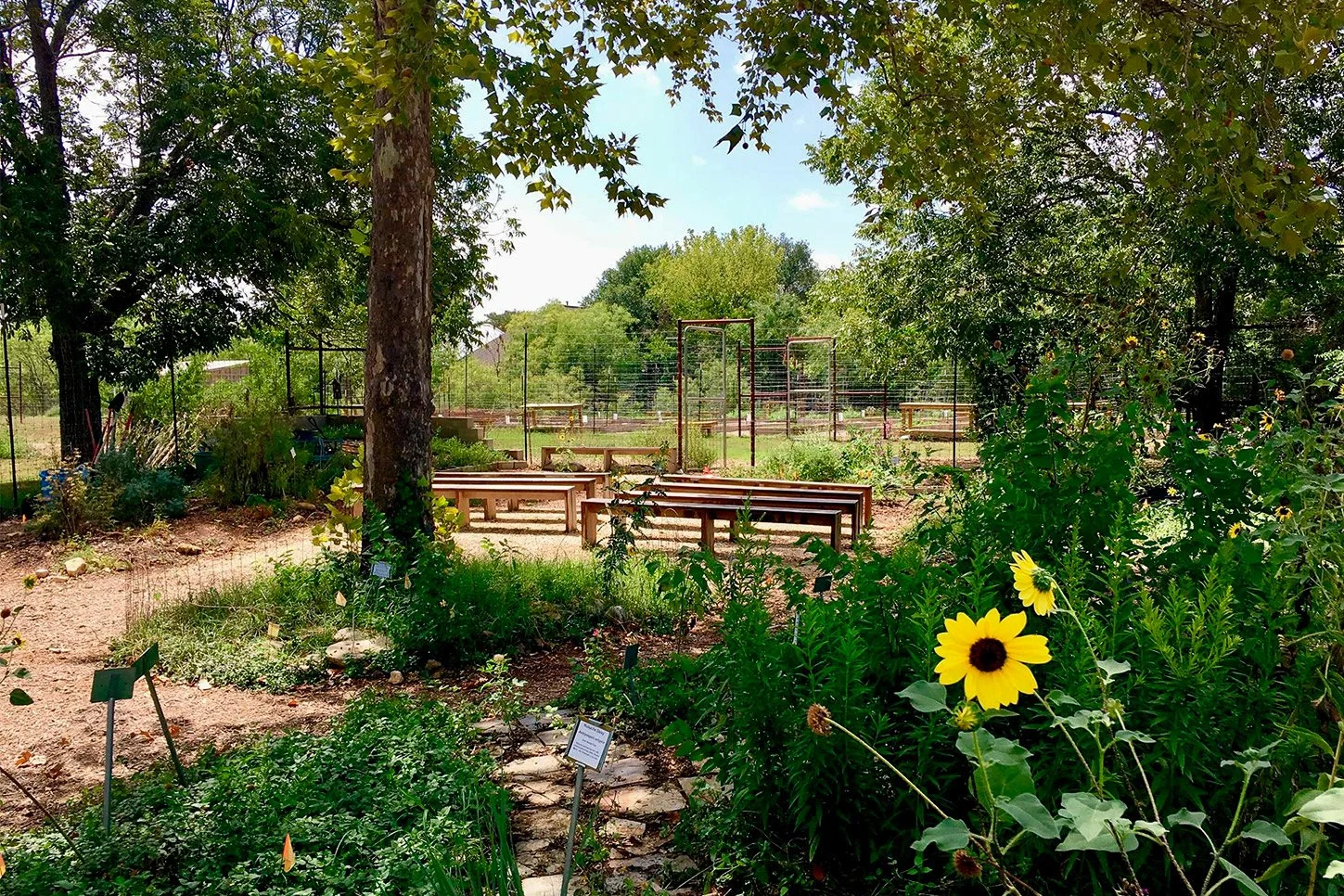Open House at the Butterfly Learning Center