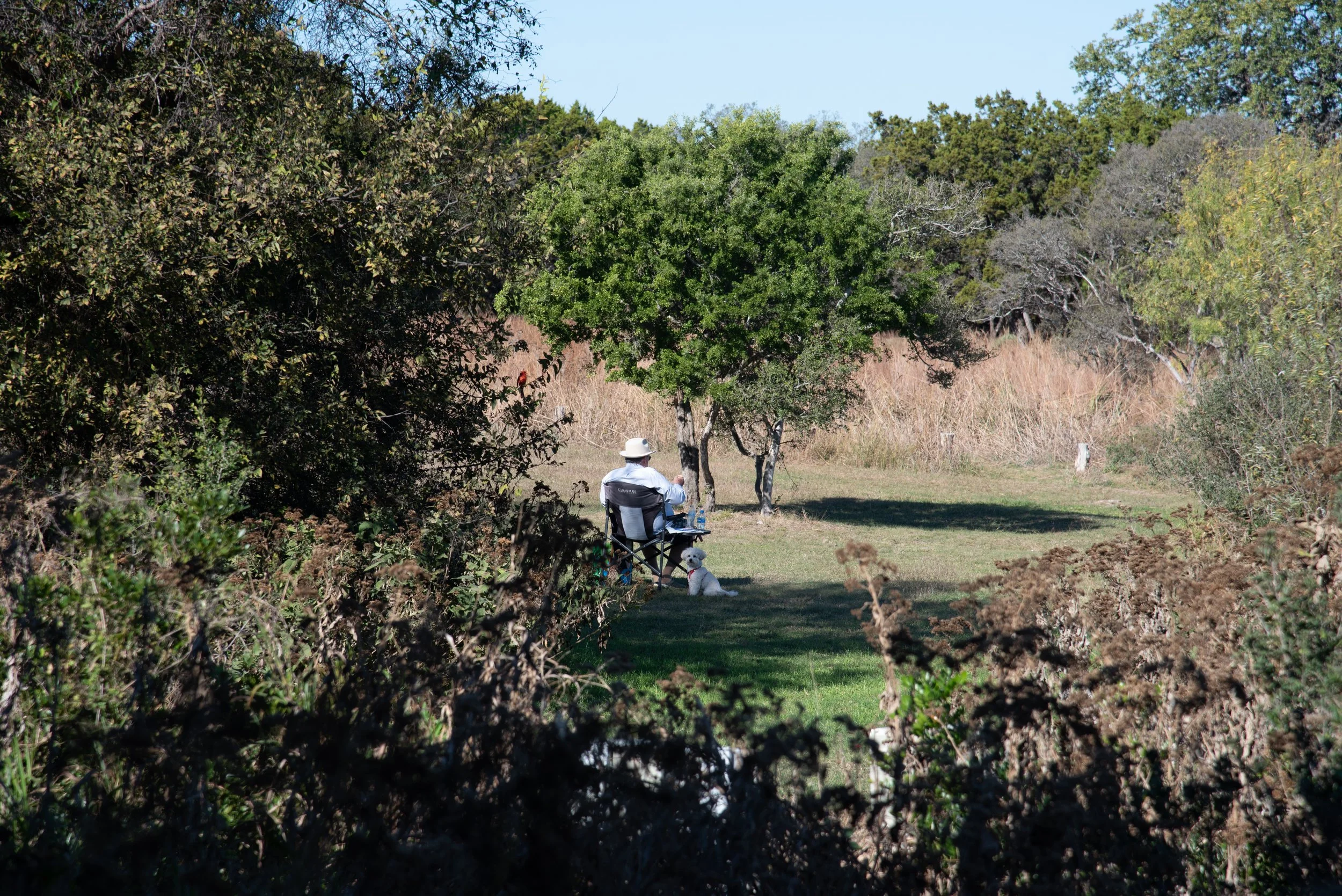 Art in the Park: En Plein Air