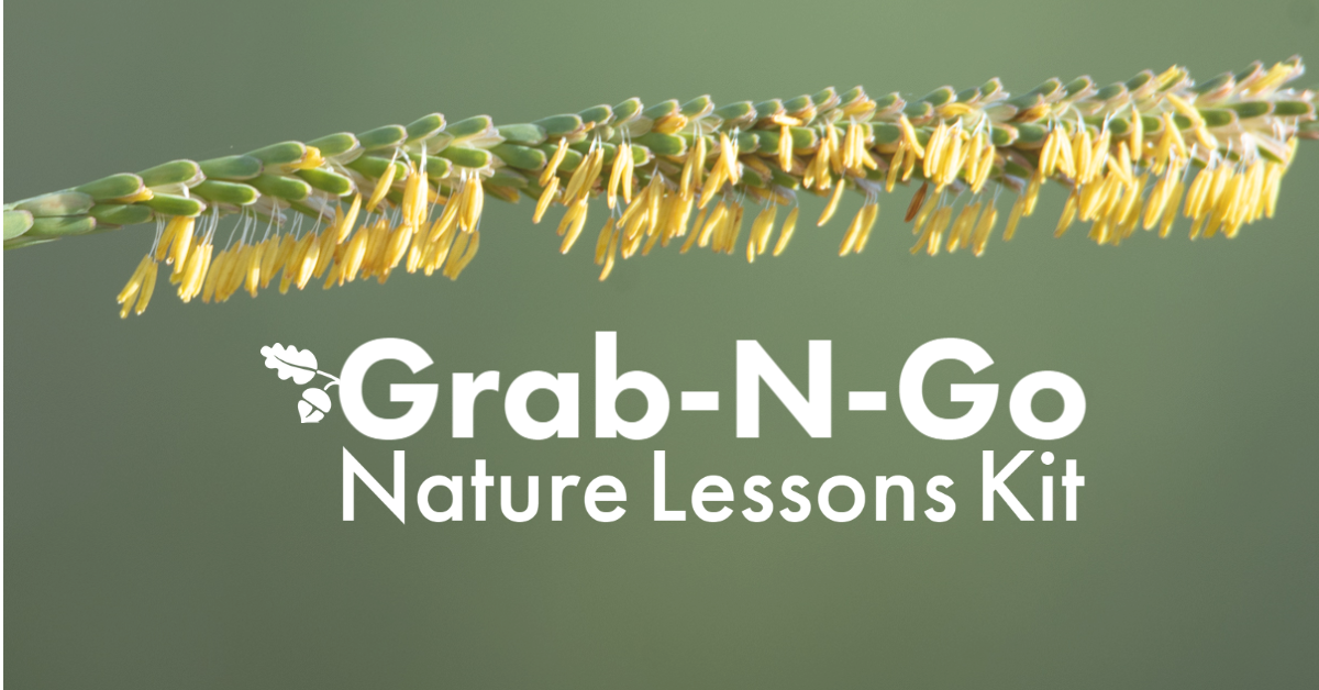 Grab N Go: Cactus  Phil Hardberger Park Conservancy