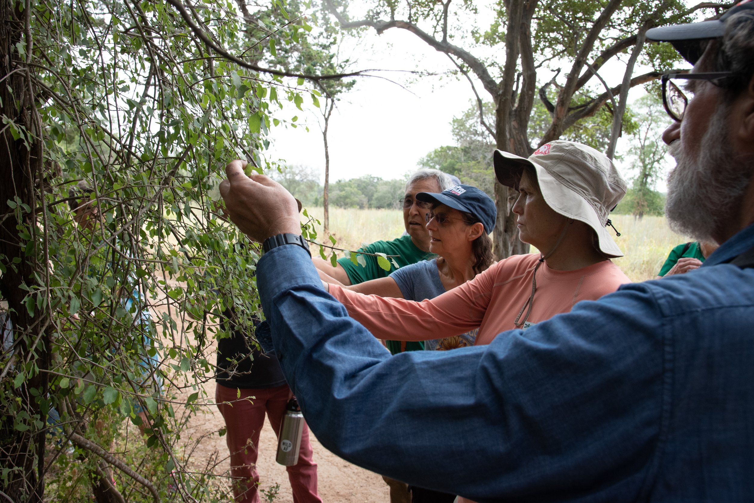 2019-08-24-Drought-walk,ts-47.jpg