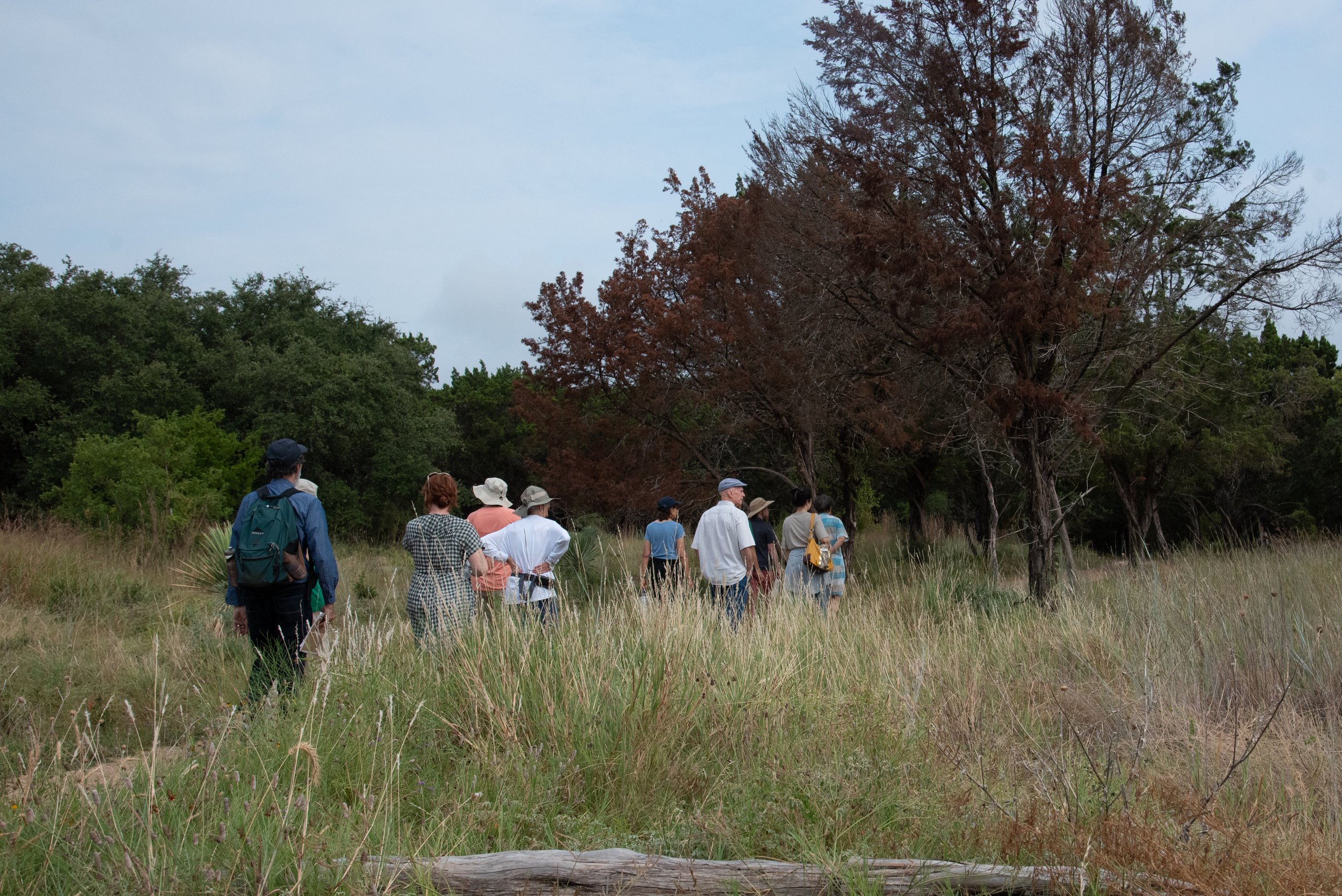 2019-08-24-Drought-walk,ts-46.jpg