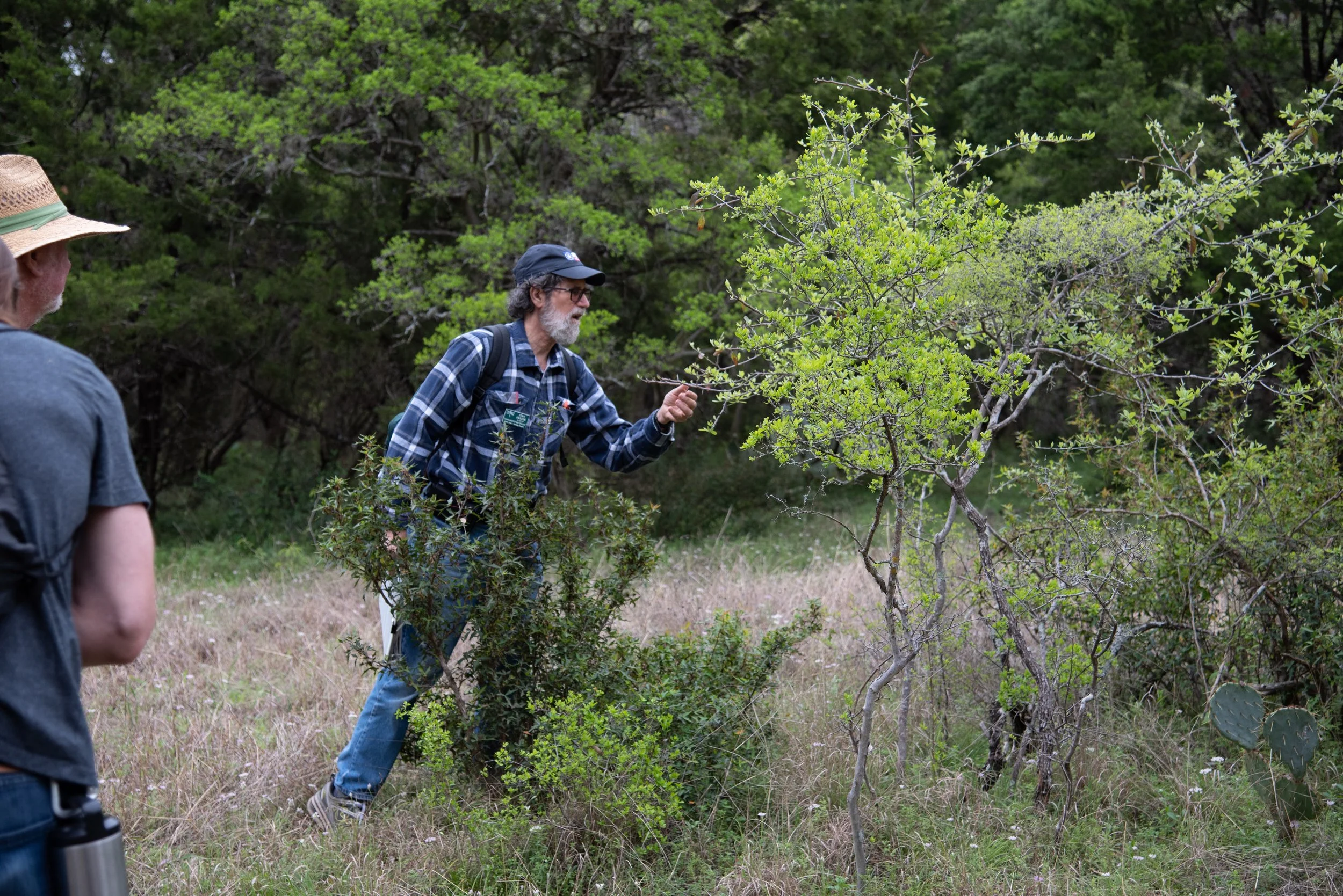 NWTreesofHardbergerPark,ts-10.jpg