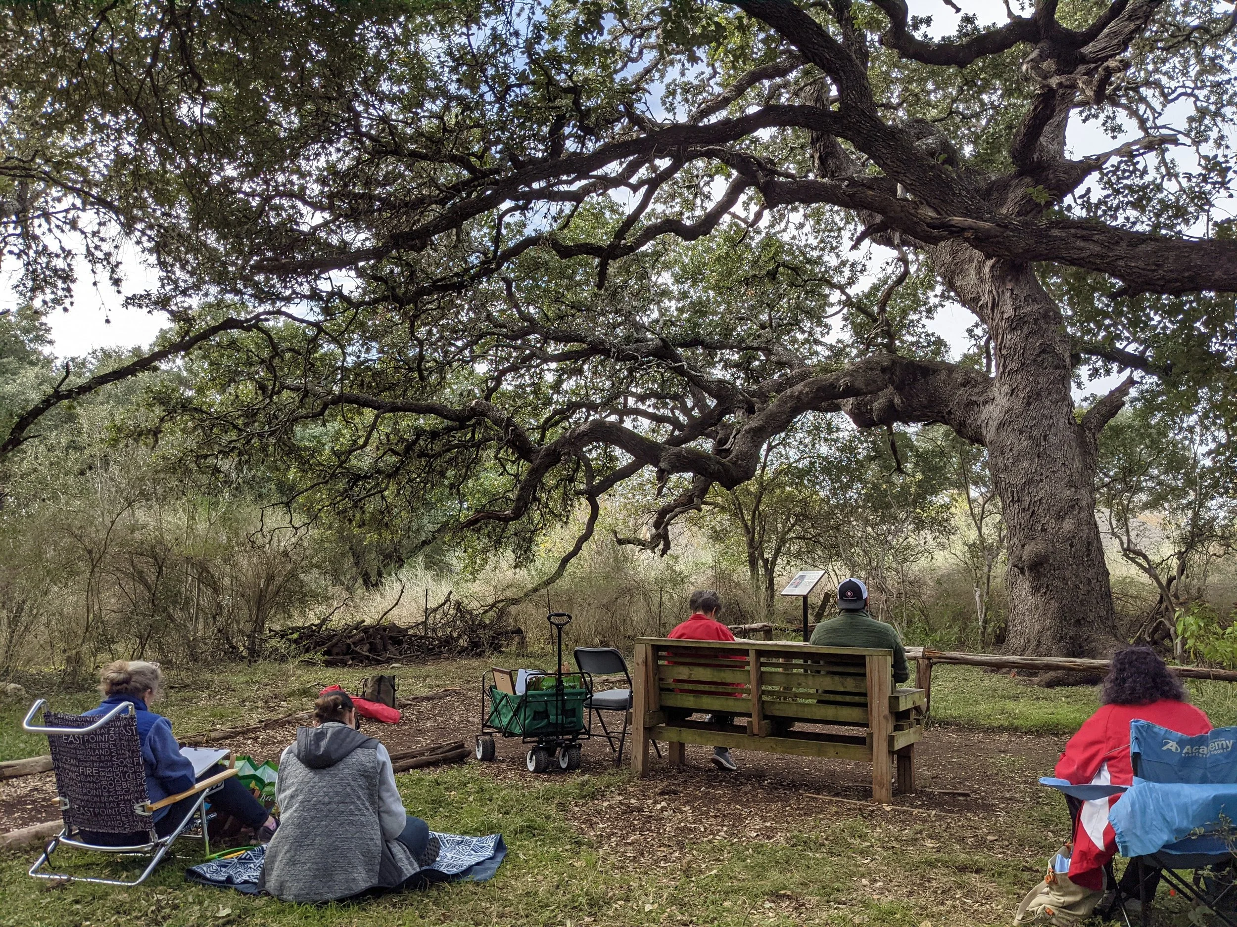 Art in the Park: Watercolors