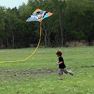 Family, Outdoors! Kite Day!