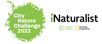 BIOBLITZ! City Nature Challenge