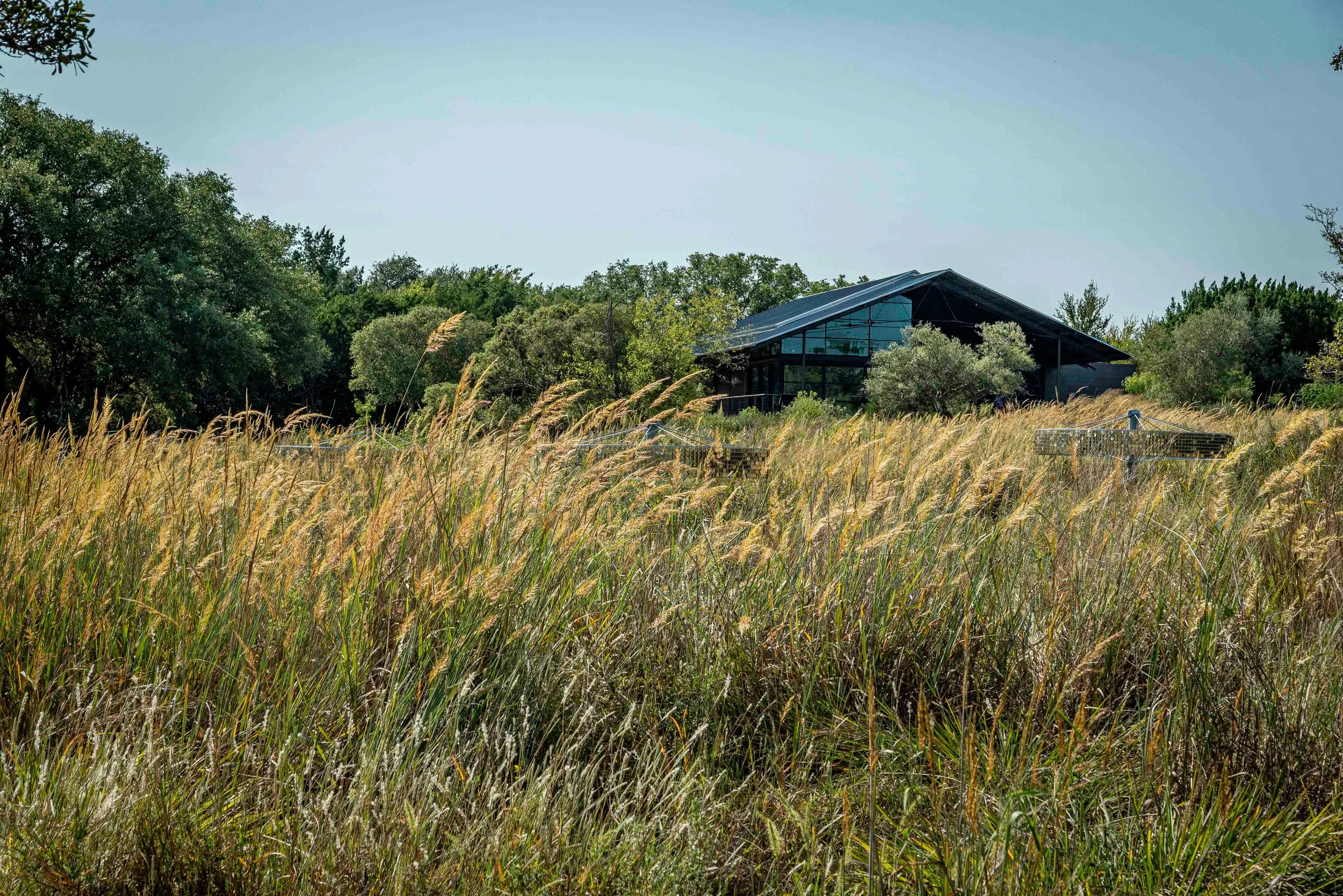 Phil Hardberger Park: A Story in Photographs