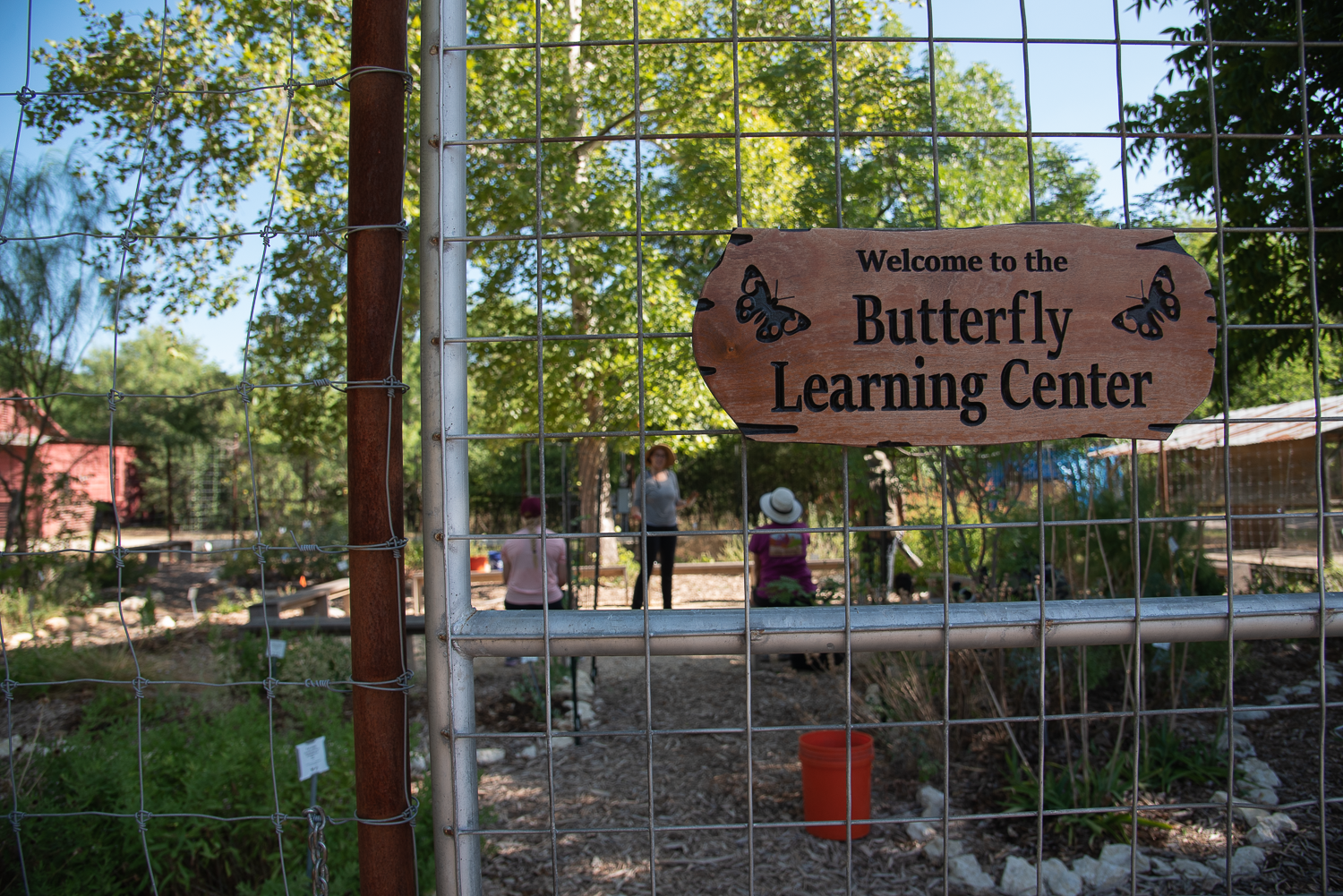 BLC Presents: Fall Pollinator Garden Tour 