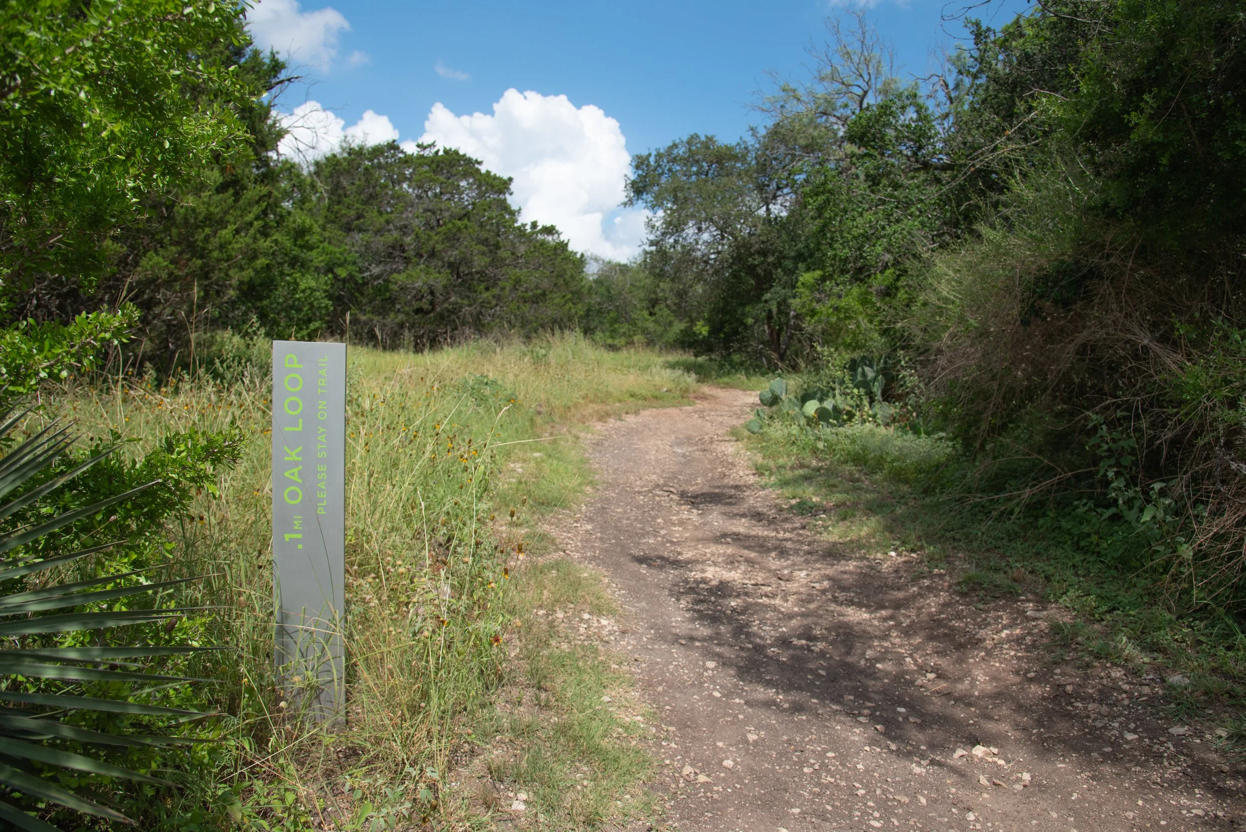 Family, Outdoors: Oak Loop Trails