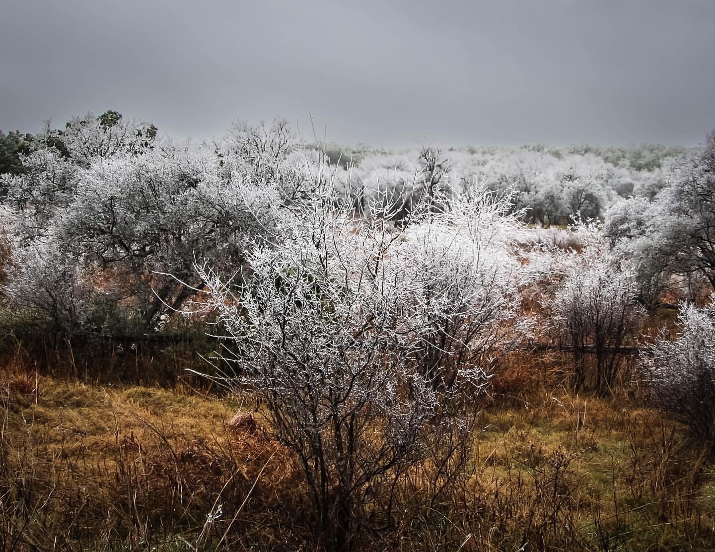 More Ice in the Savannah