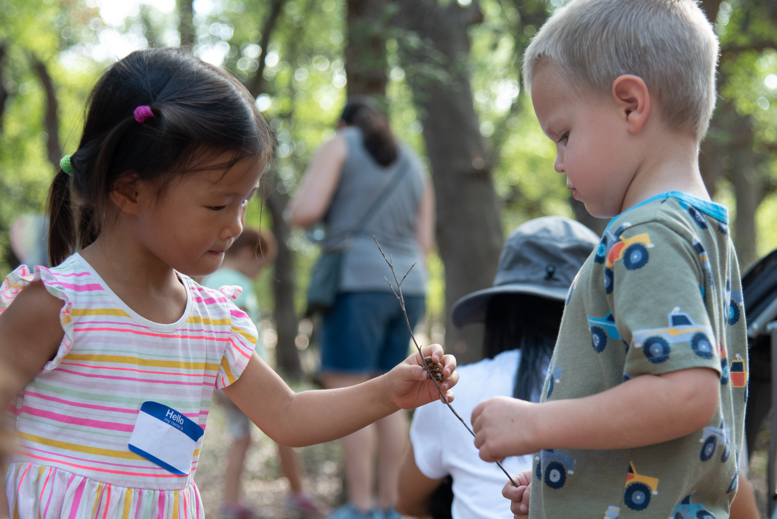 Growing Up Wild: Wild Things