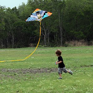 Fly Like a Bird - Kite Day
