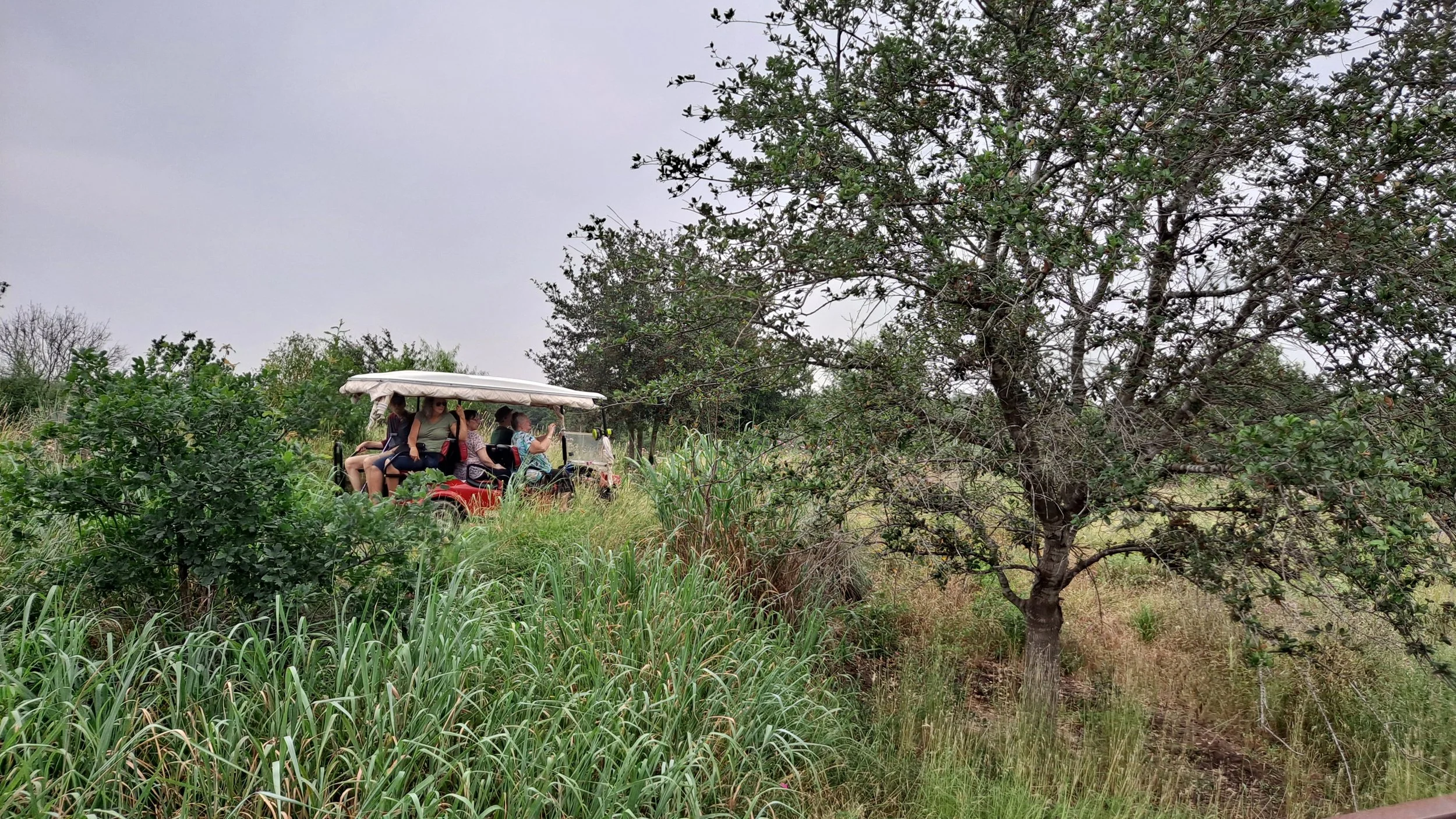 Lift to the Land Bridge 