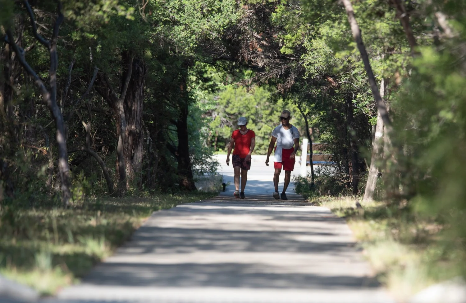 Don't Melt! Tips for Summertime Hiking