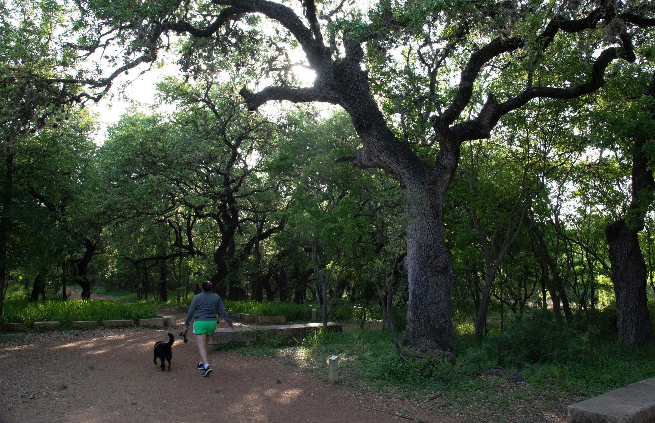 Bilingual Toddler Nature Walk