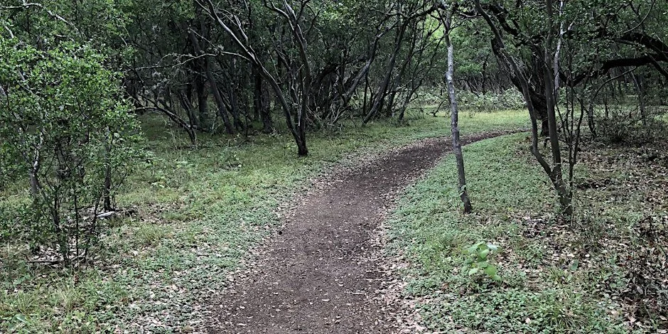 Growing Up Wild: Living Dirt
